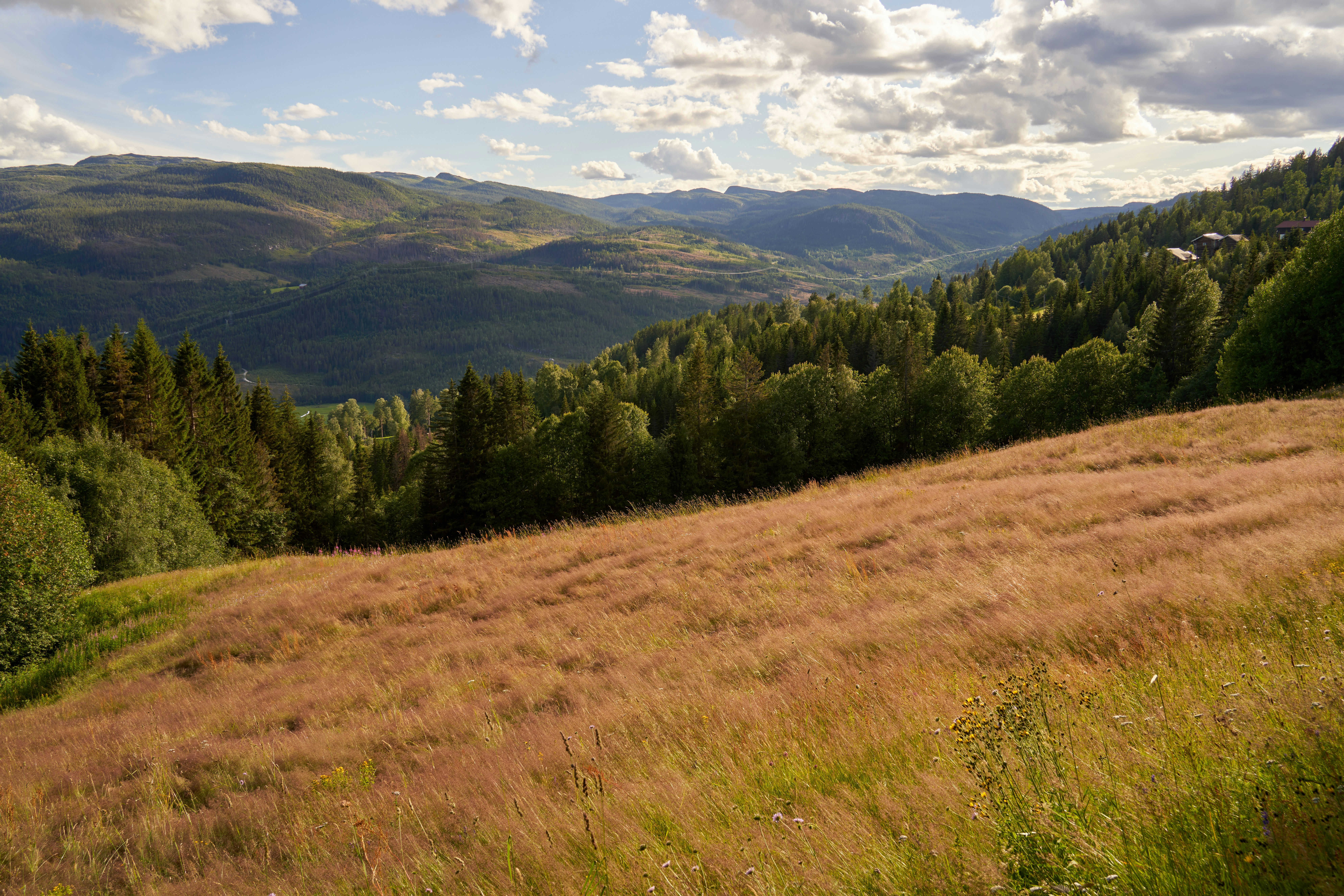 Photo by davotibarna