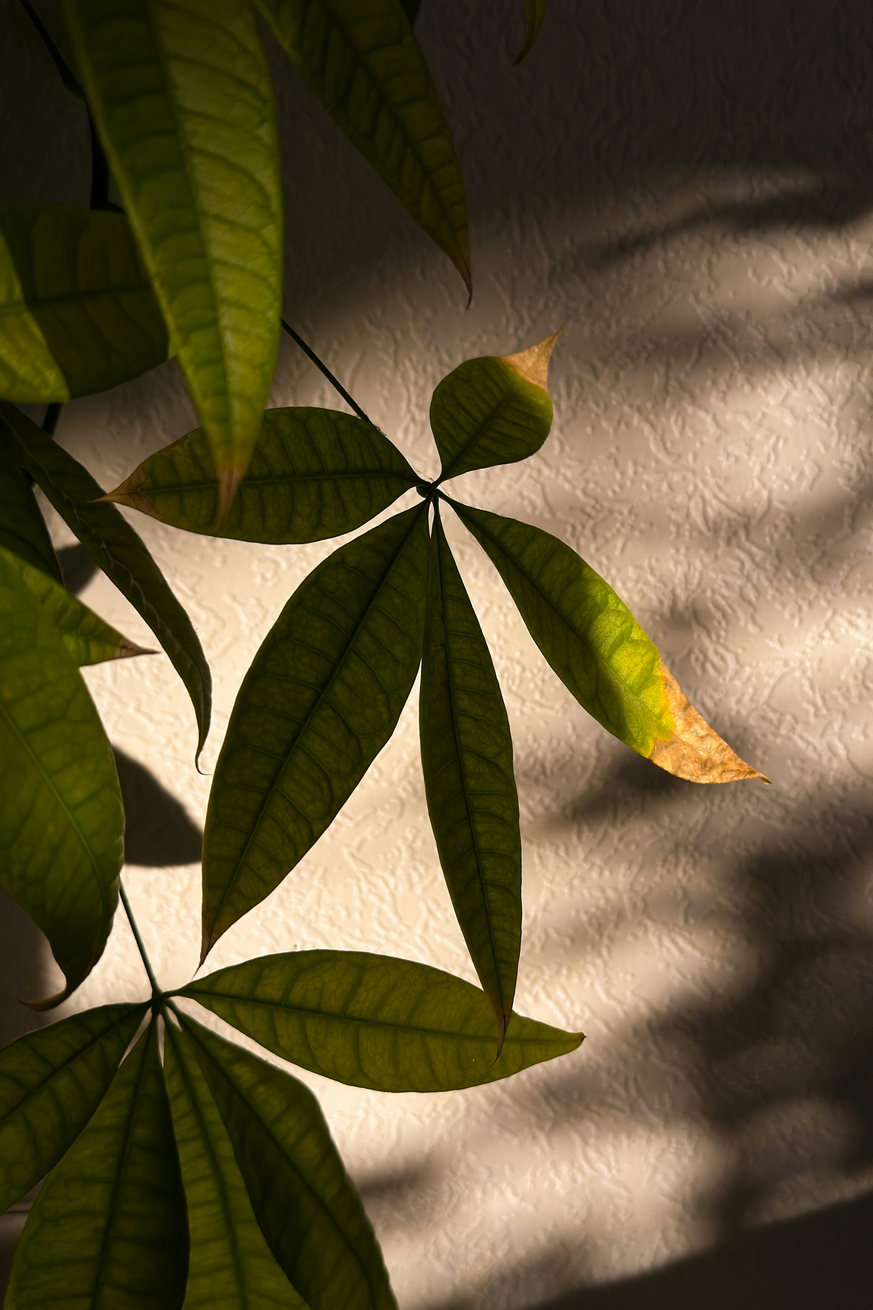 Photo by visualsbying