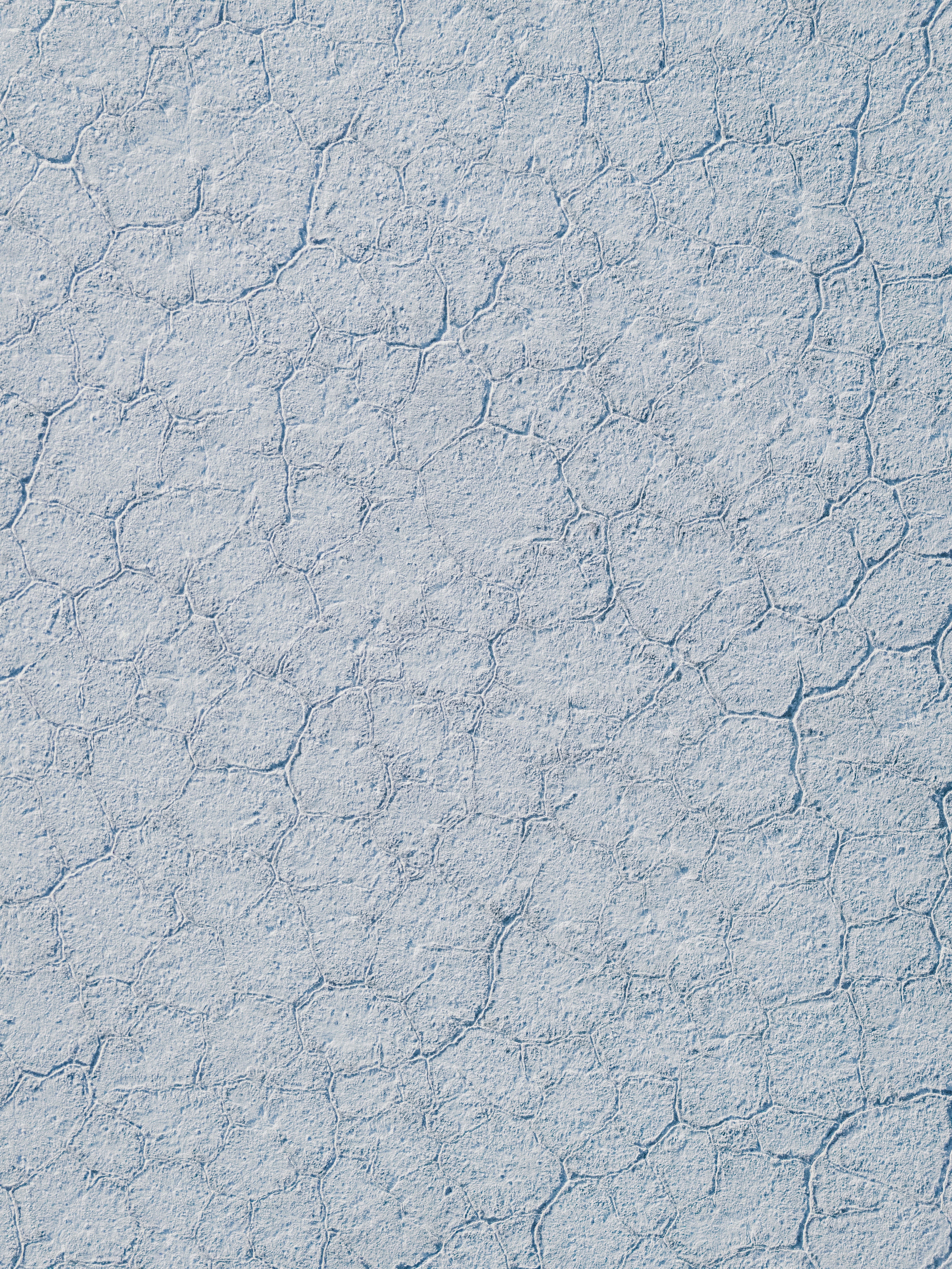 Dry, cracked earth surface, with hexagonal patterns.