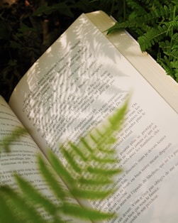 An open book is enhanced by fern shadow.