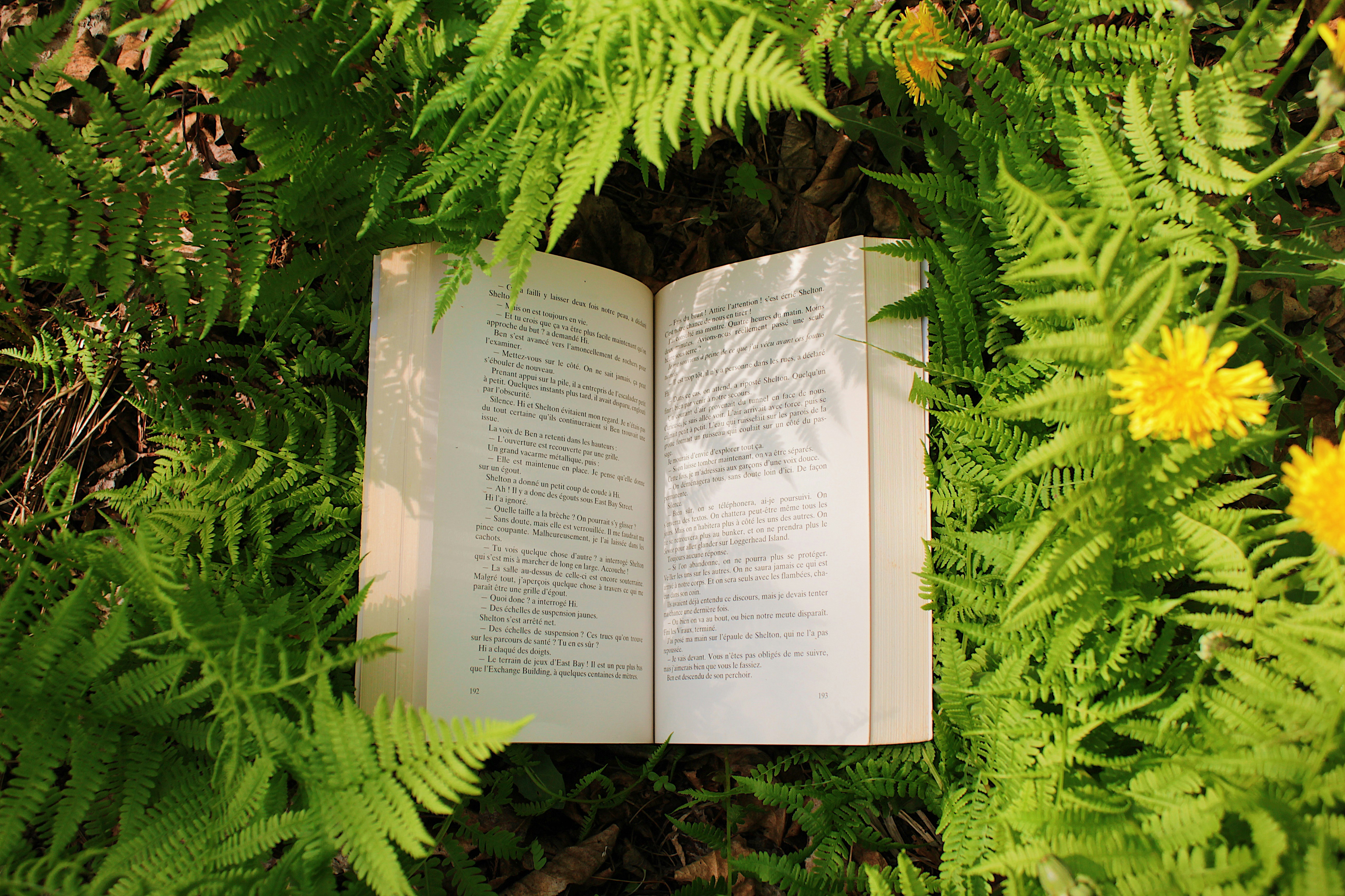 An open book rests amongst ferns and nature.