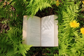An open book rests amongst ferns and nature.