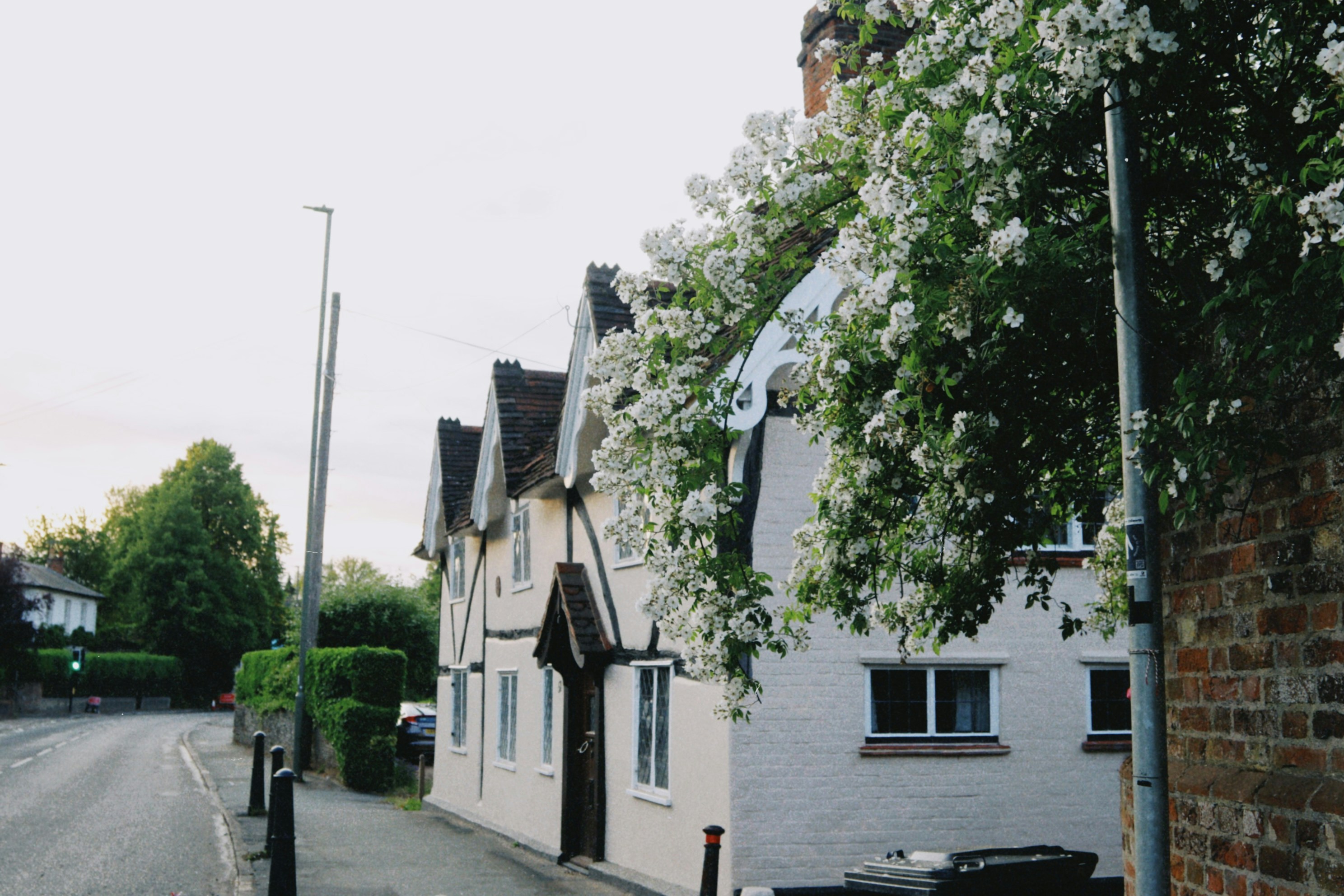 Photo by tanyabarrow