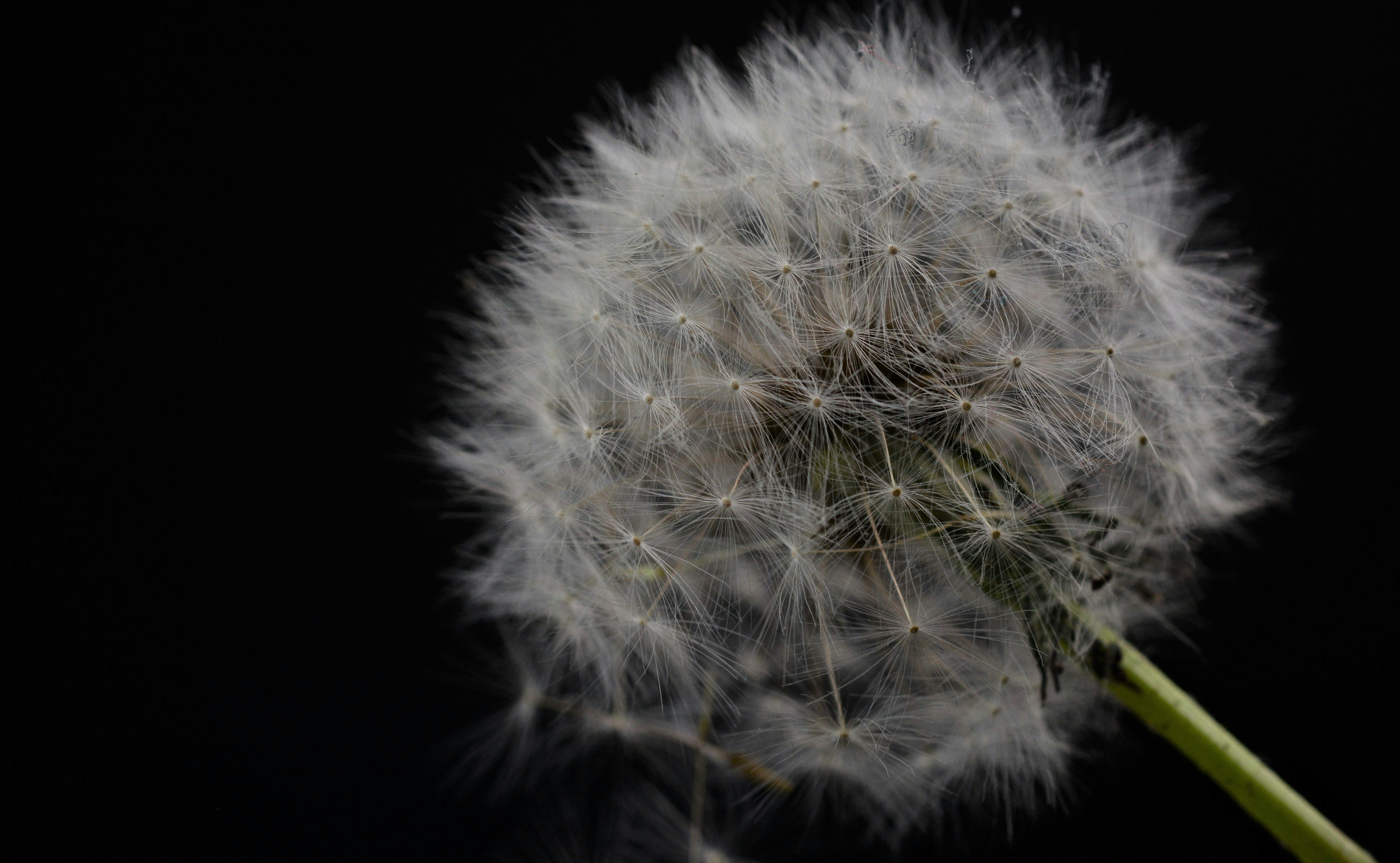 Photo by asphotographypics