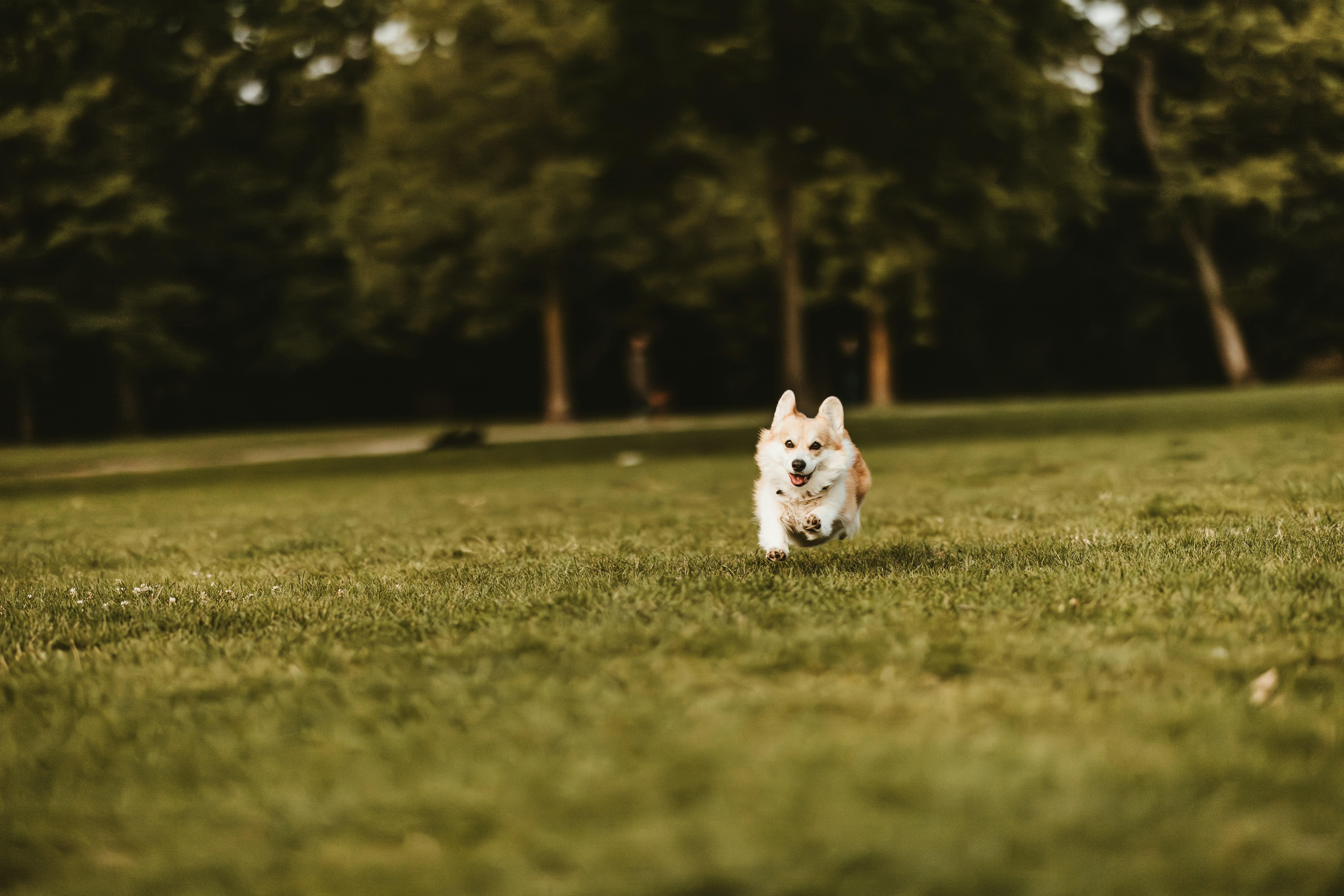 Exercise: The Unsung Hero of Digestive Health