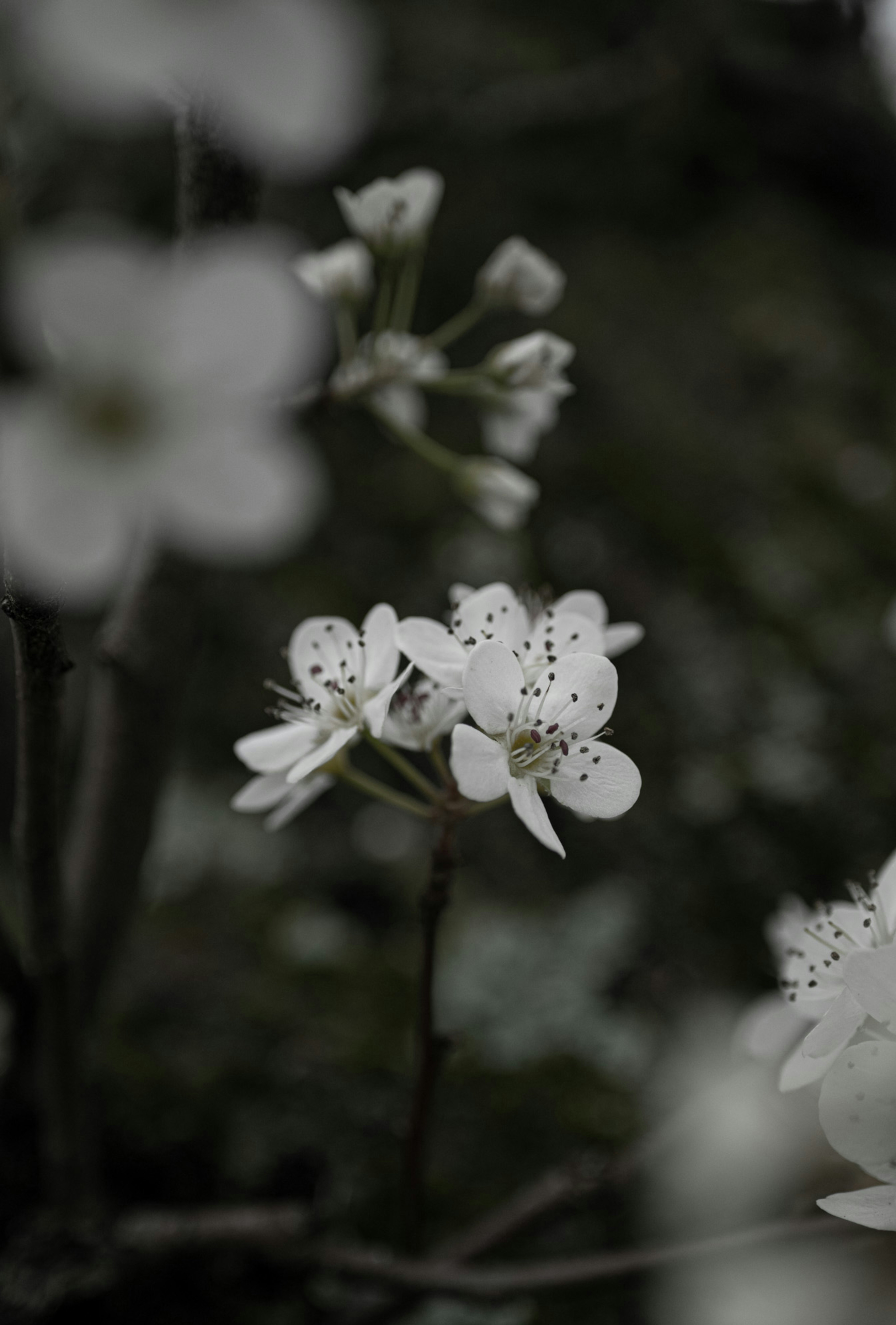 Photo by asphotographypics