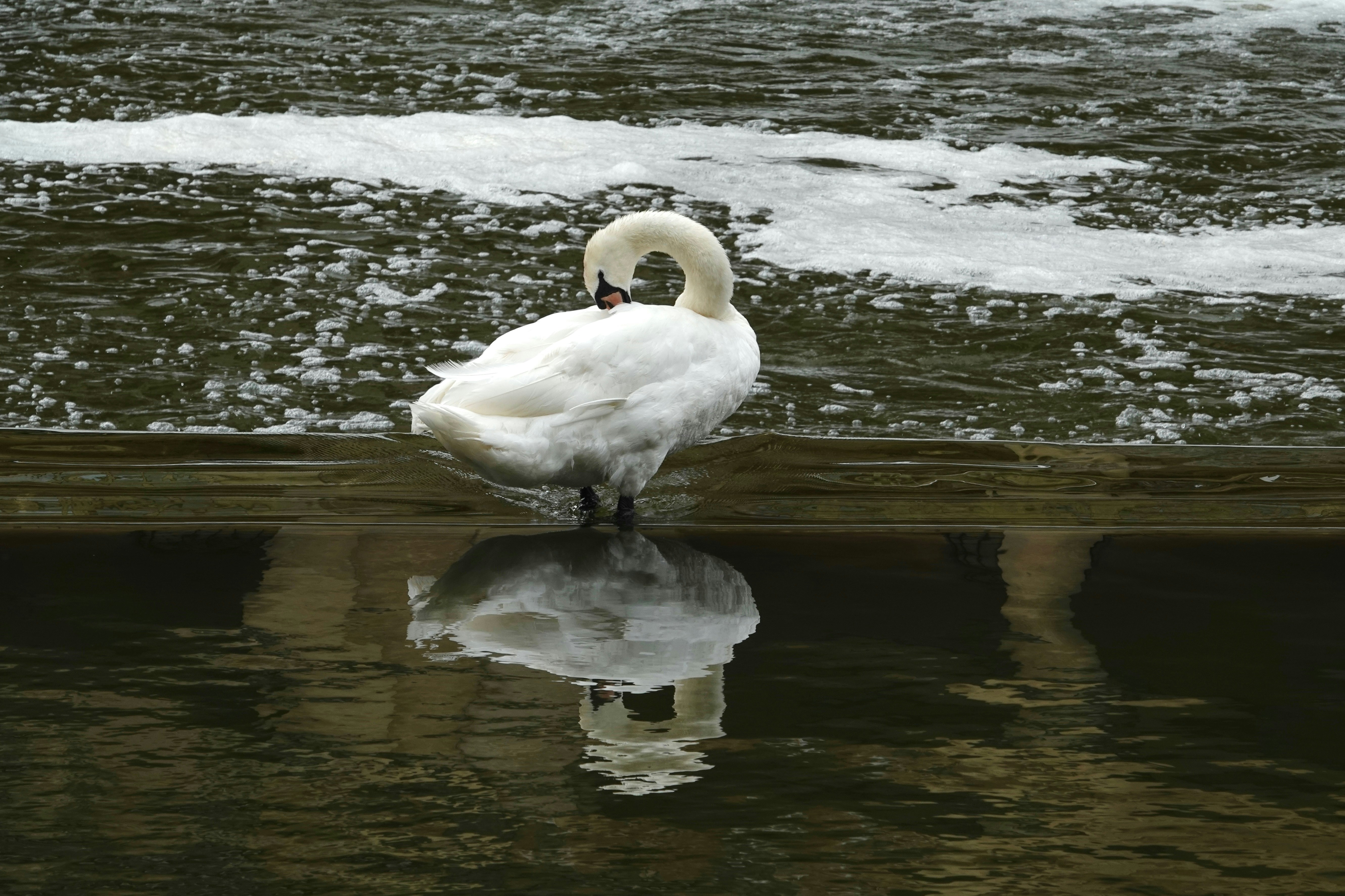 Photo by priyankachechi29