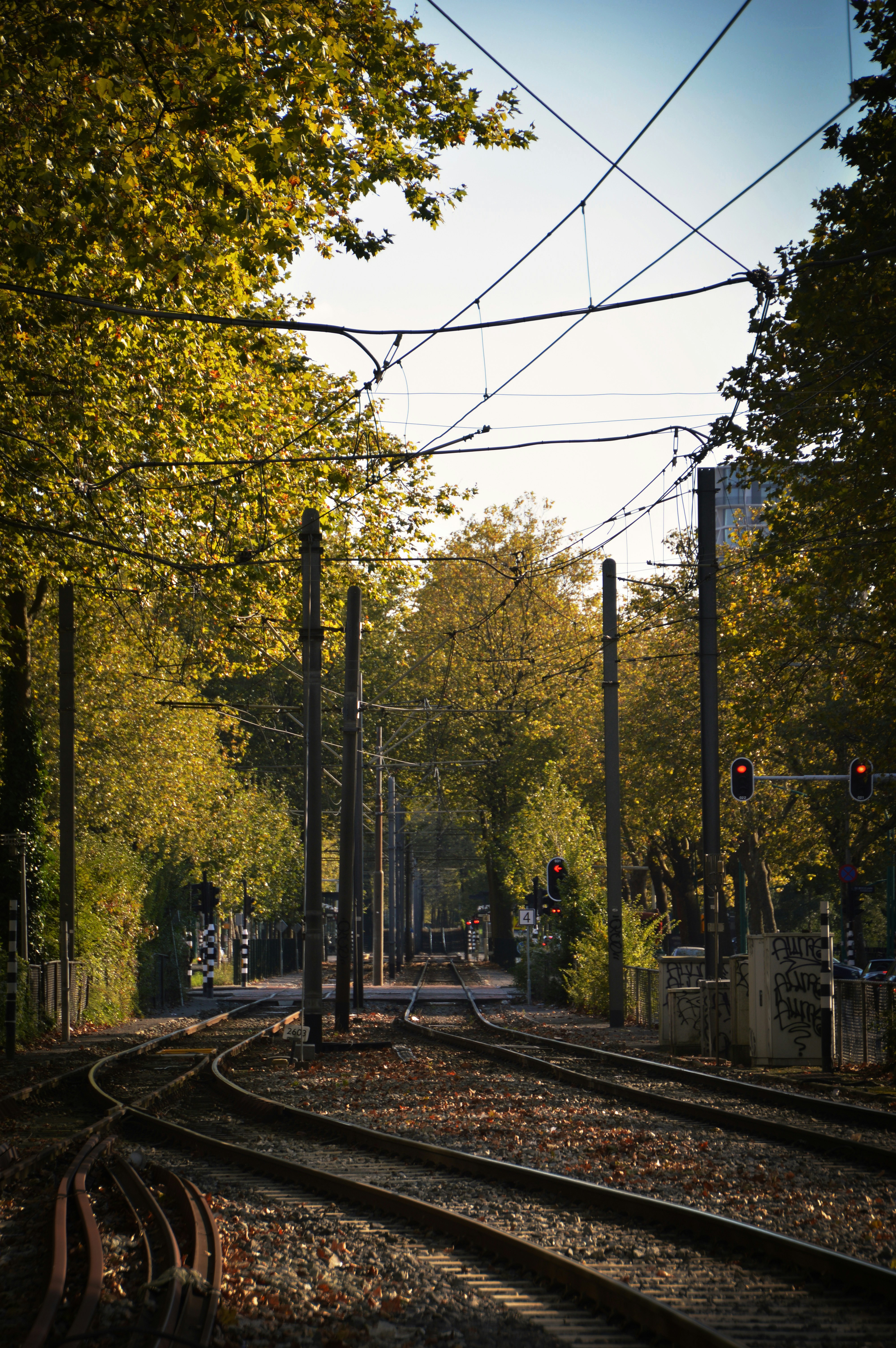 Photo by leonardo_finies