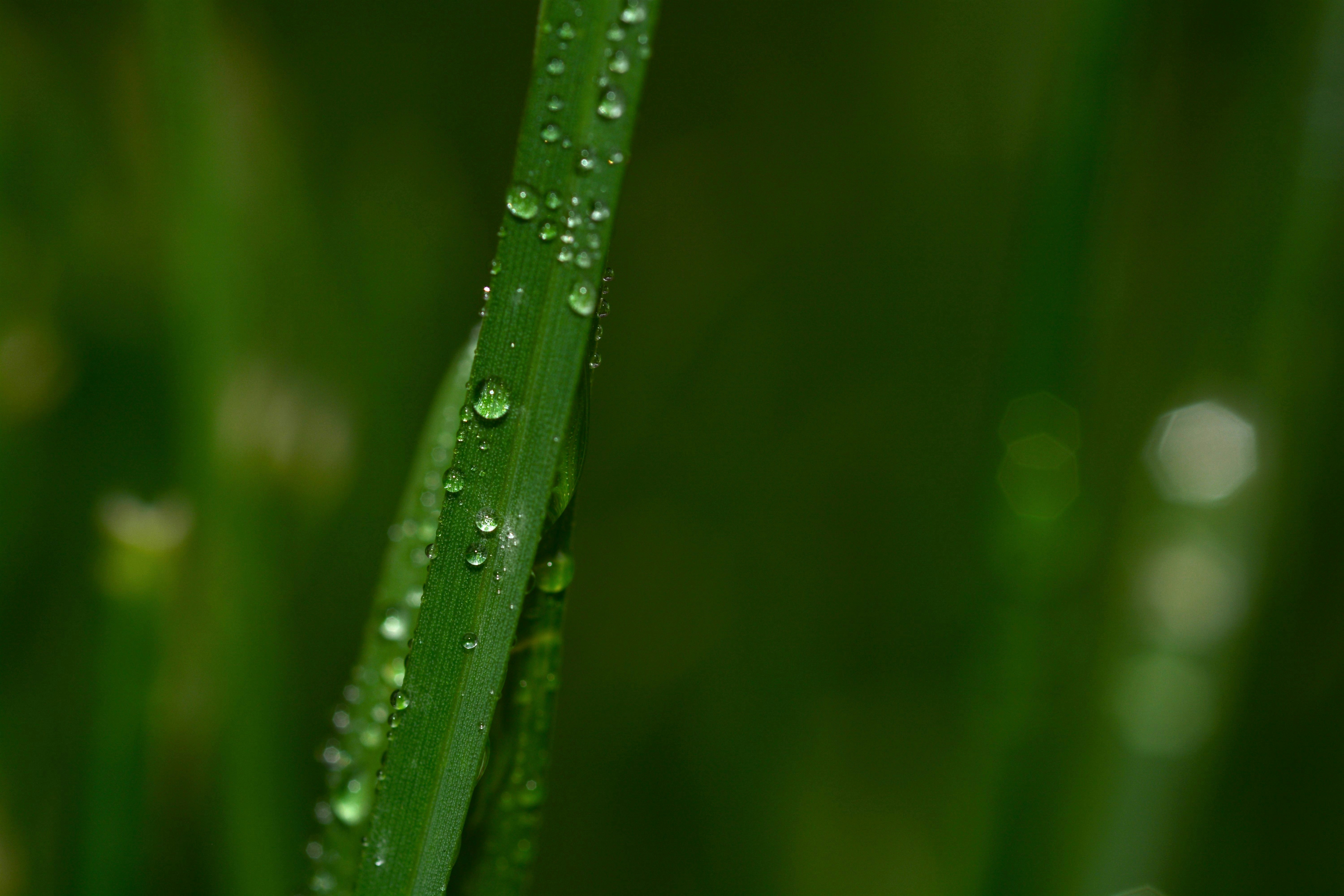 Photo by asphotographypics