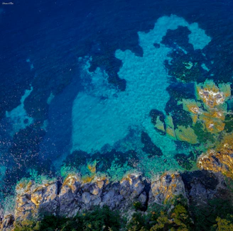 Azure blue water meets rocky shoreline.