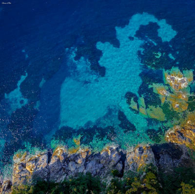 Azure blue water meets rocky shoreline.