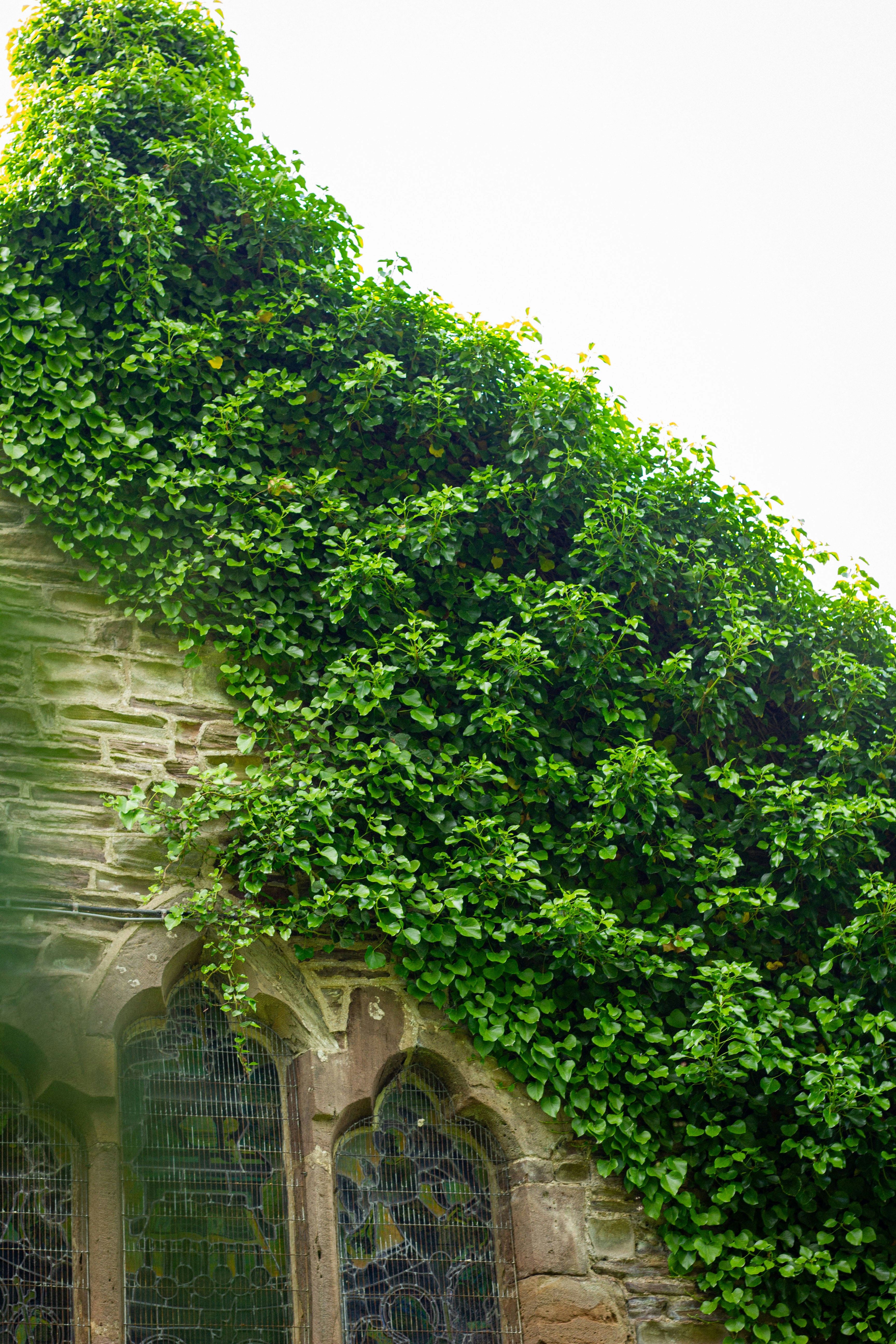 Photo by isaacwithers