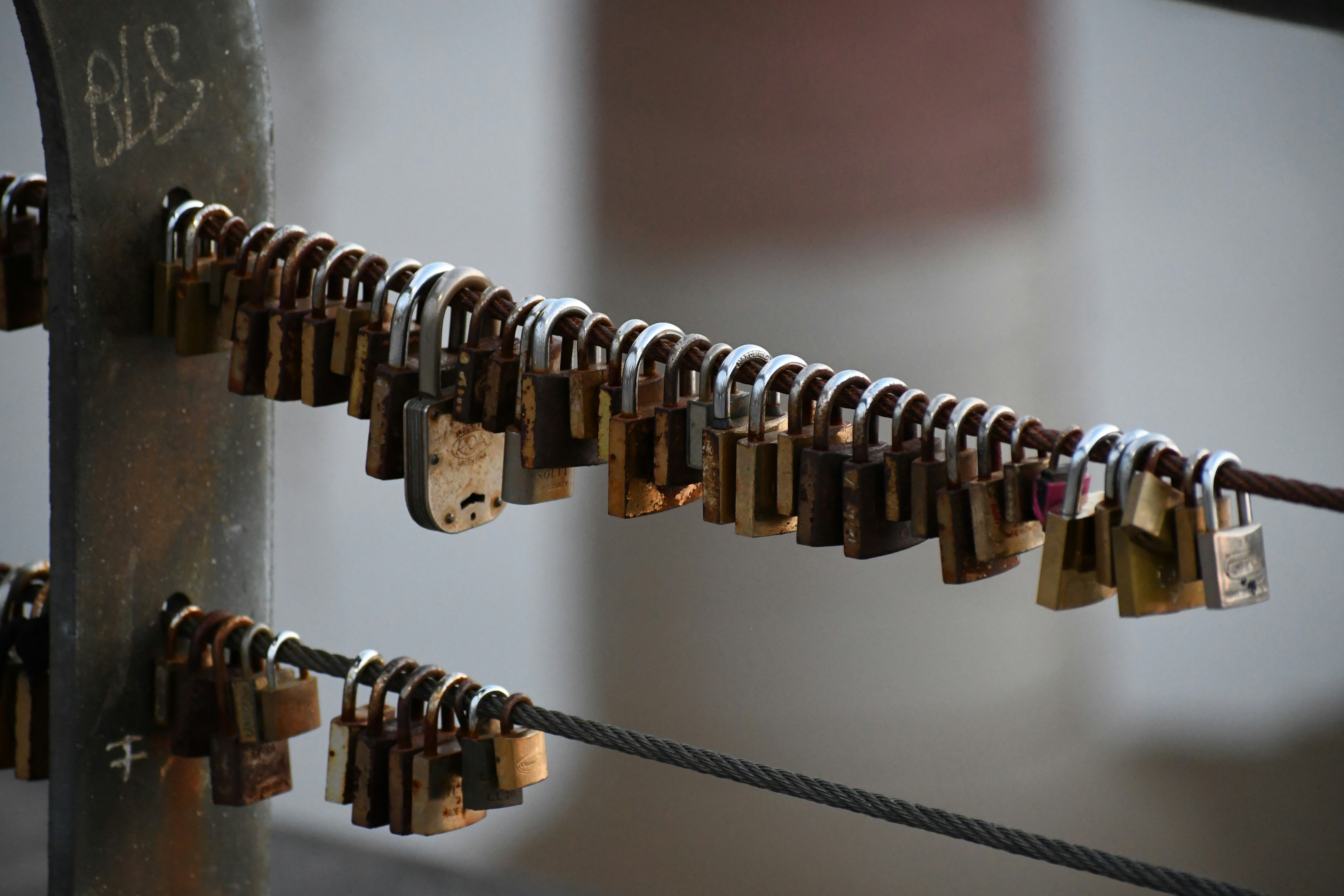 Many padlocks hung on a railing.