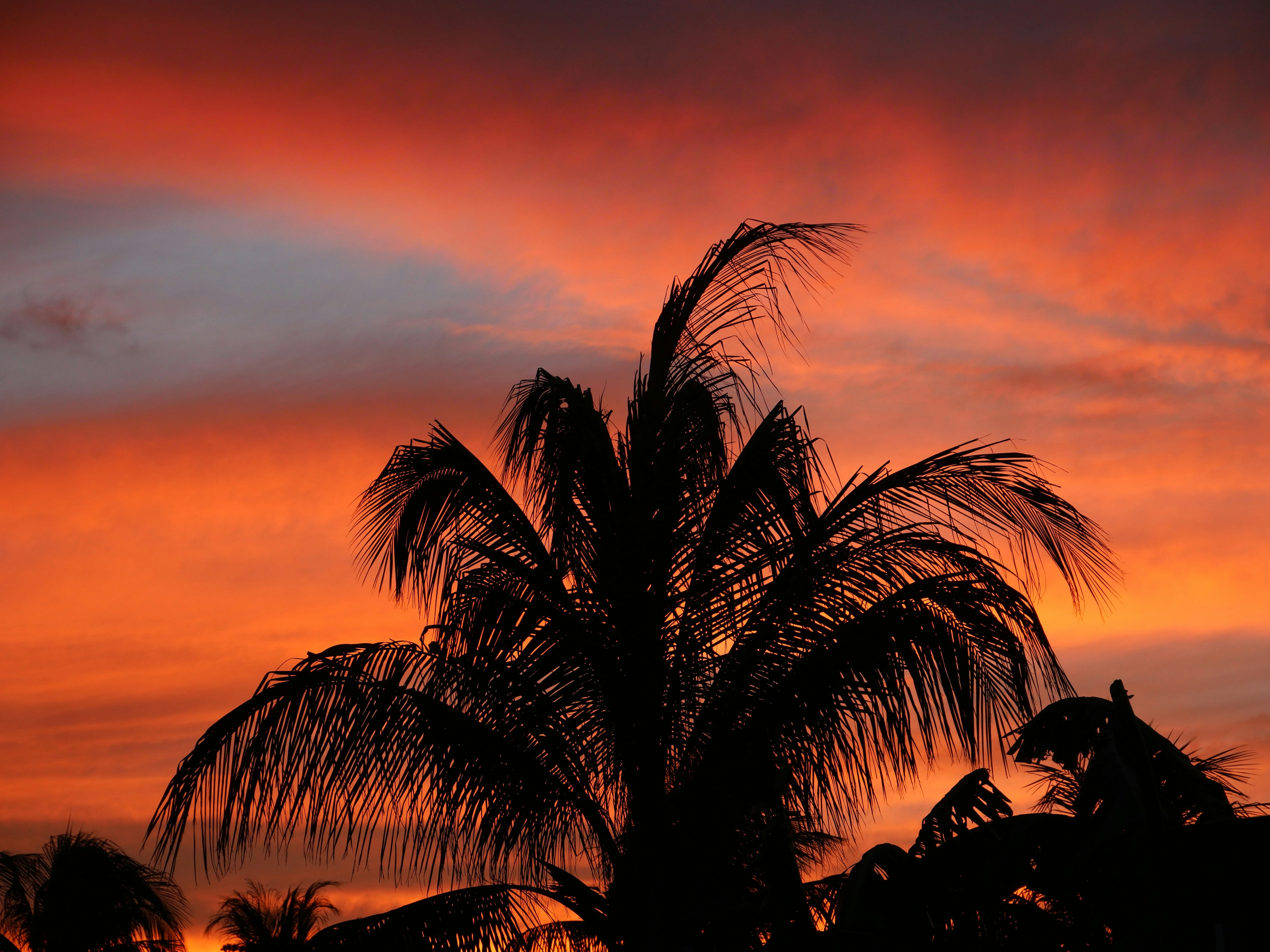 Photo by naturaleza_general