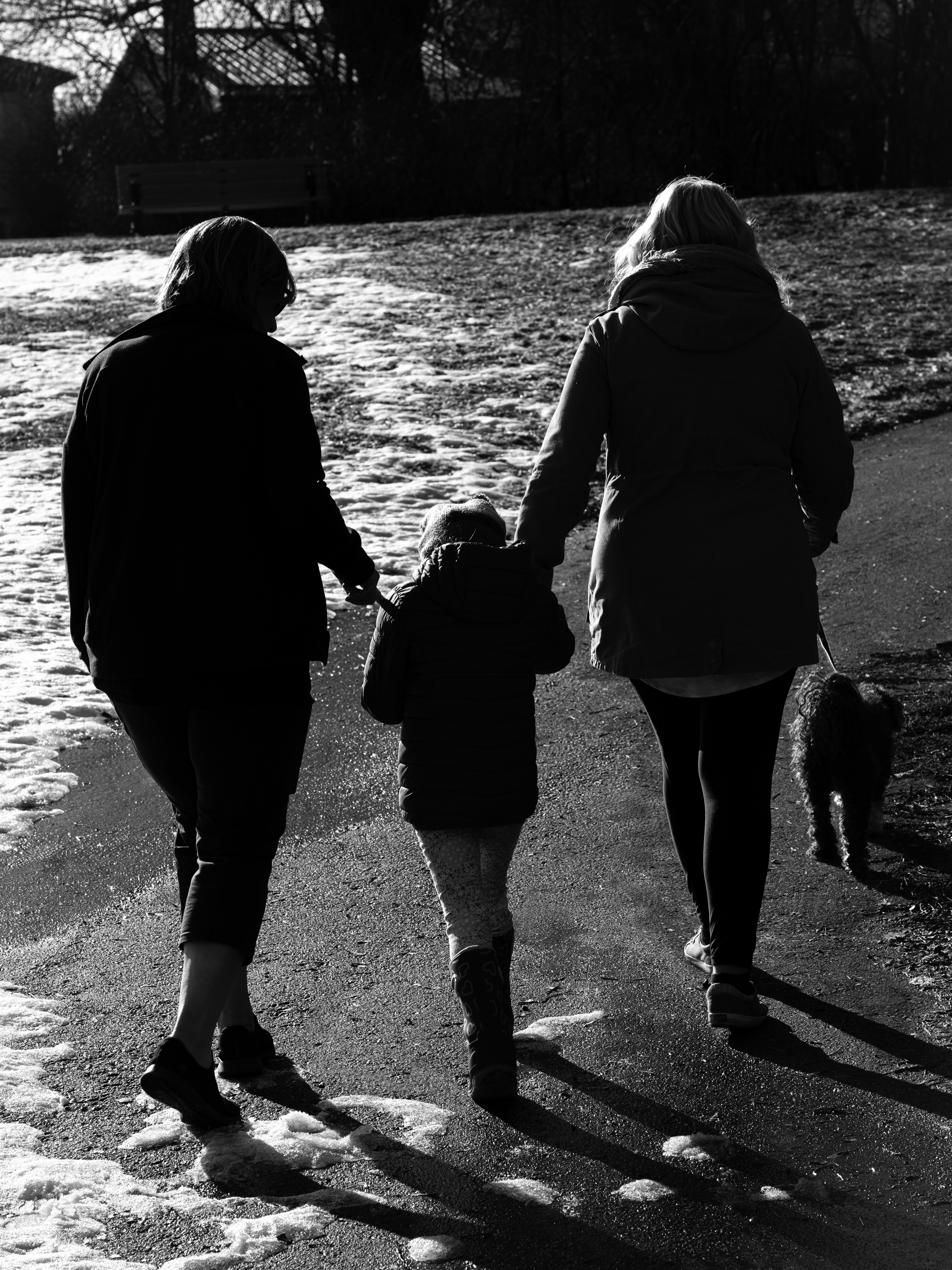 A family walks a dog on a sunny day.