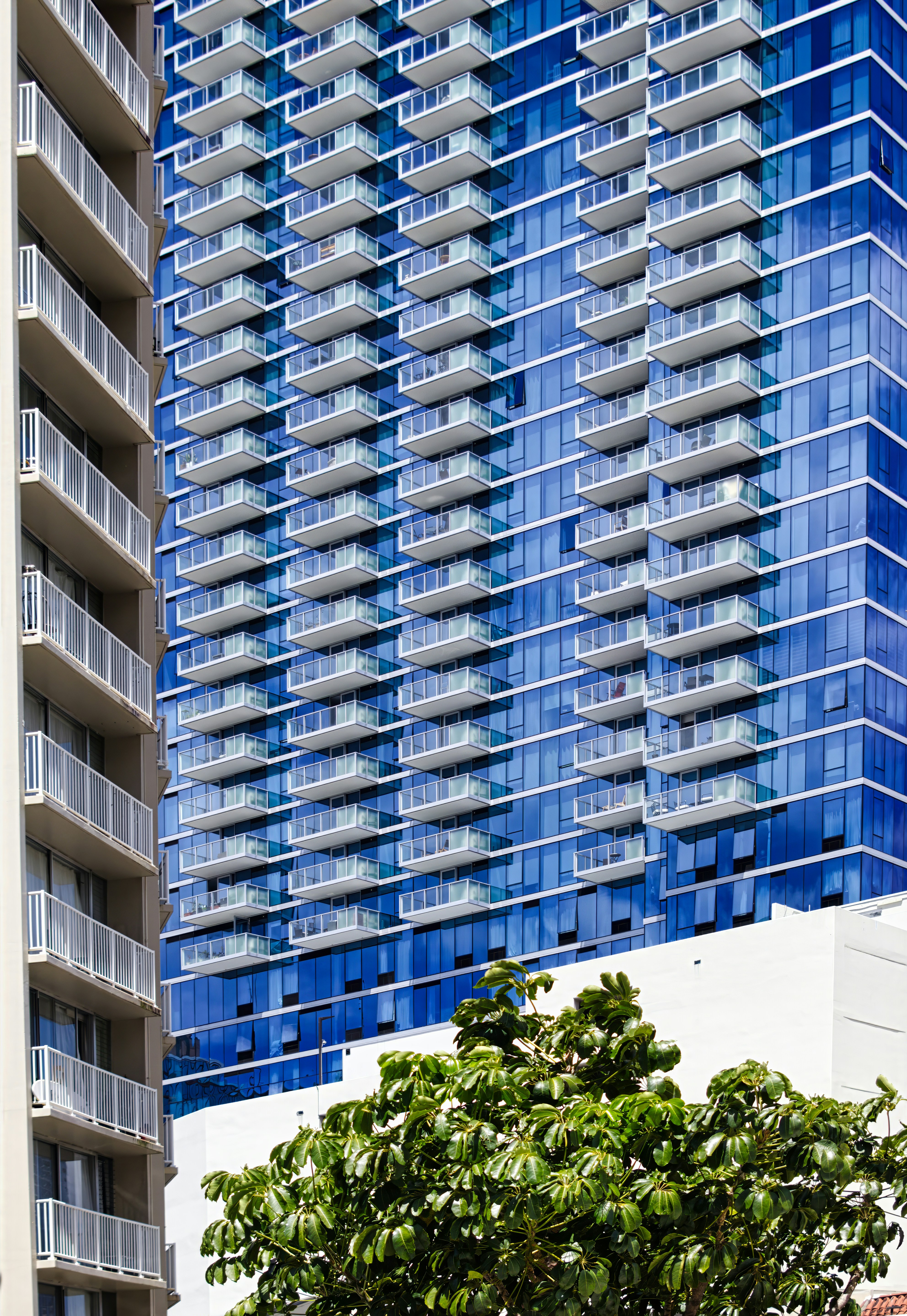 Photo by bullterriere