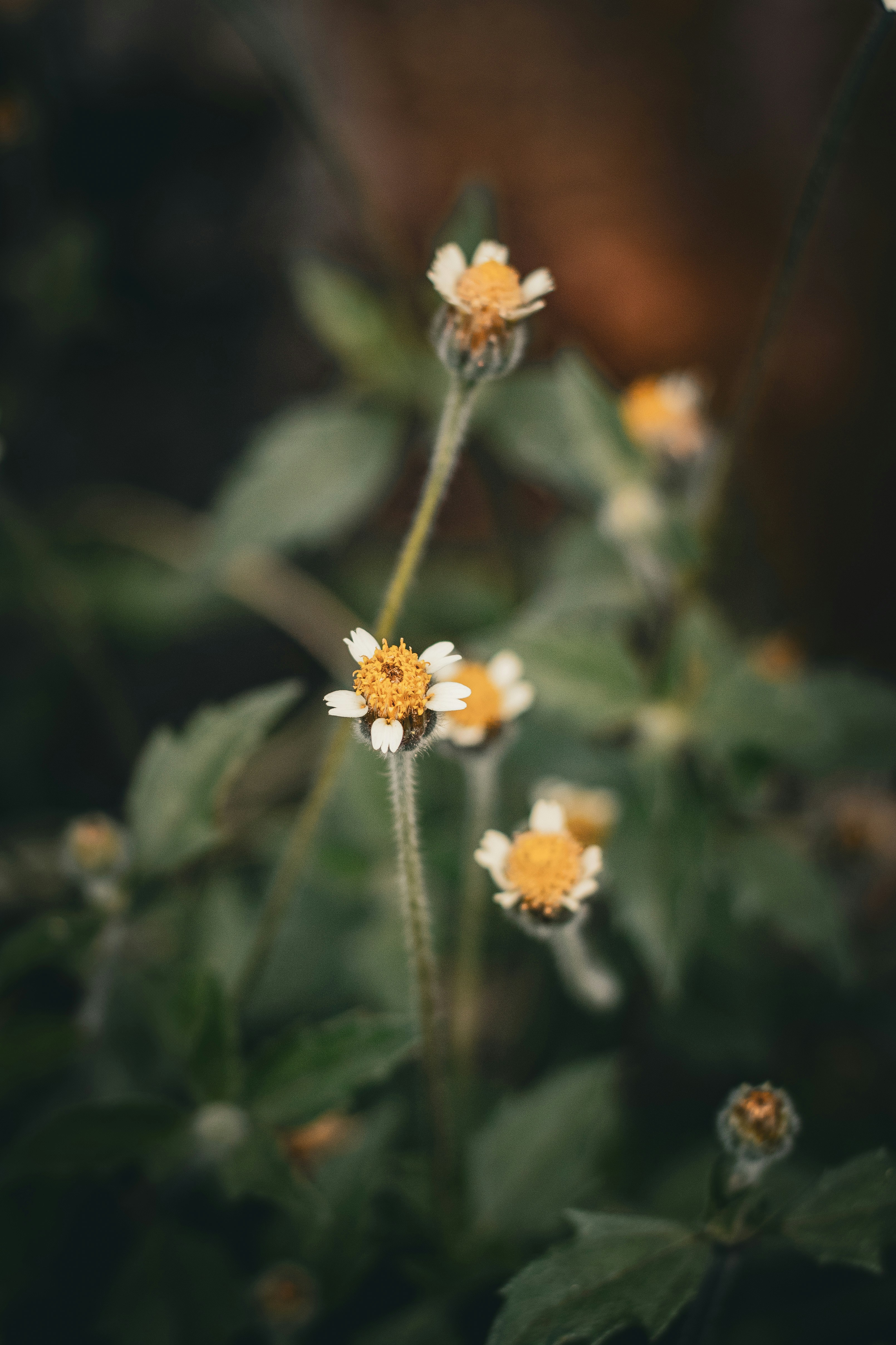 Photo by atilsoons