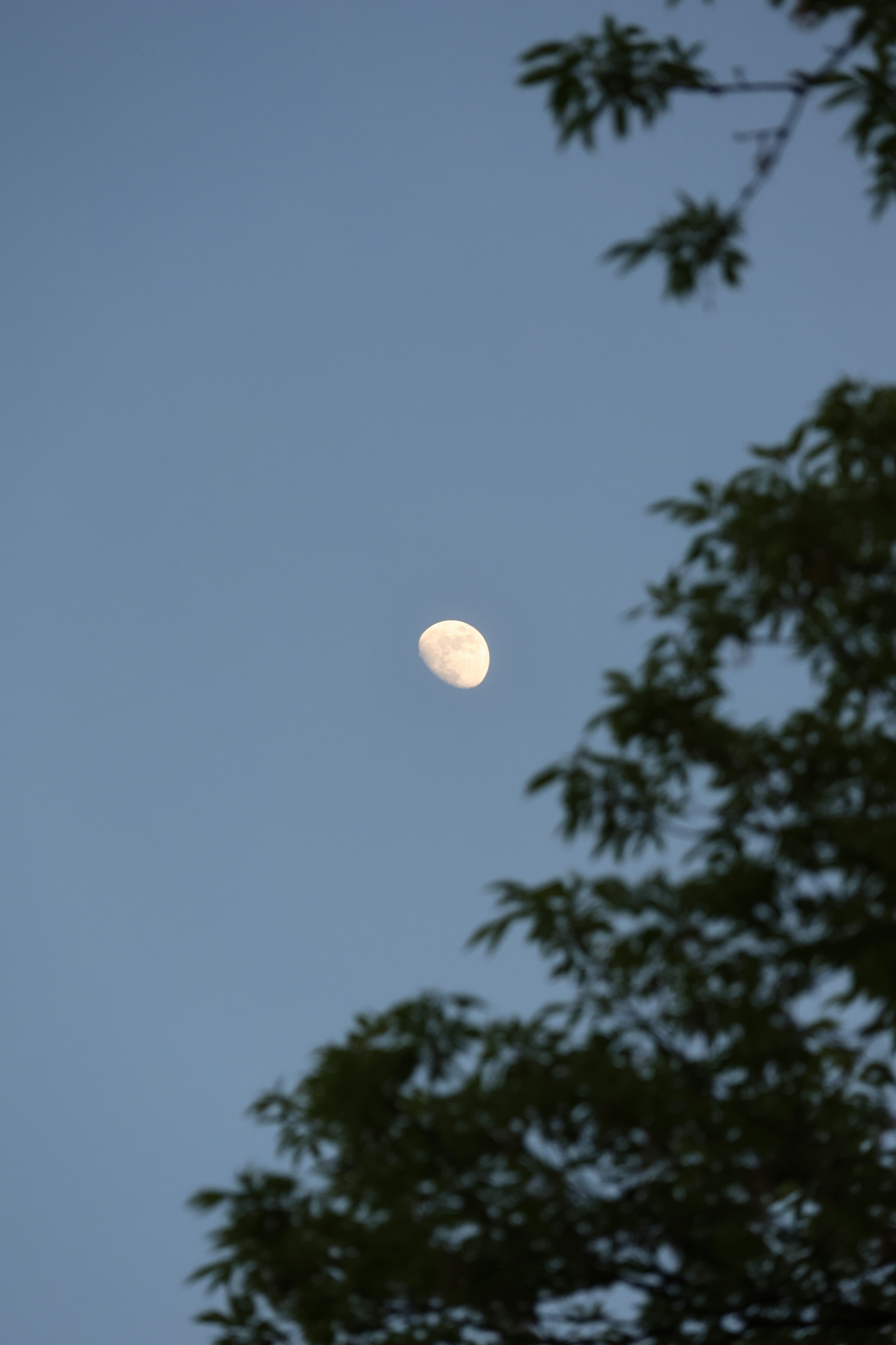 Photo by princeprajapati