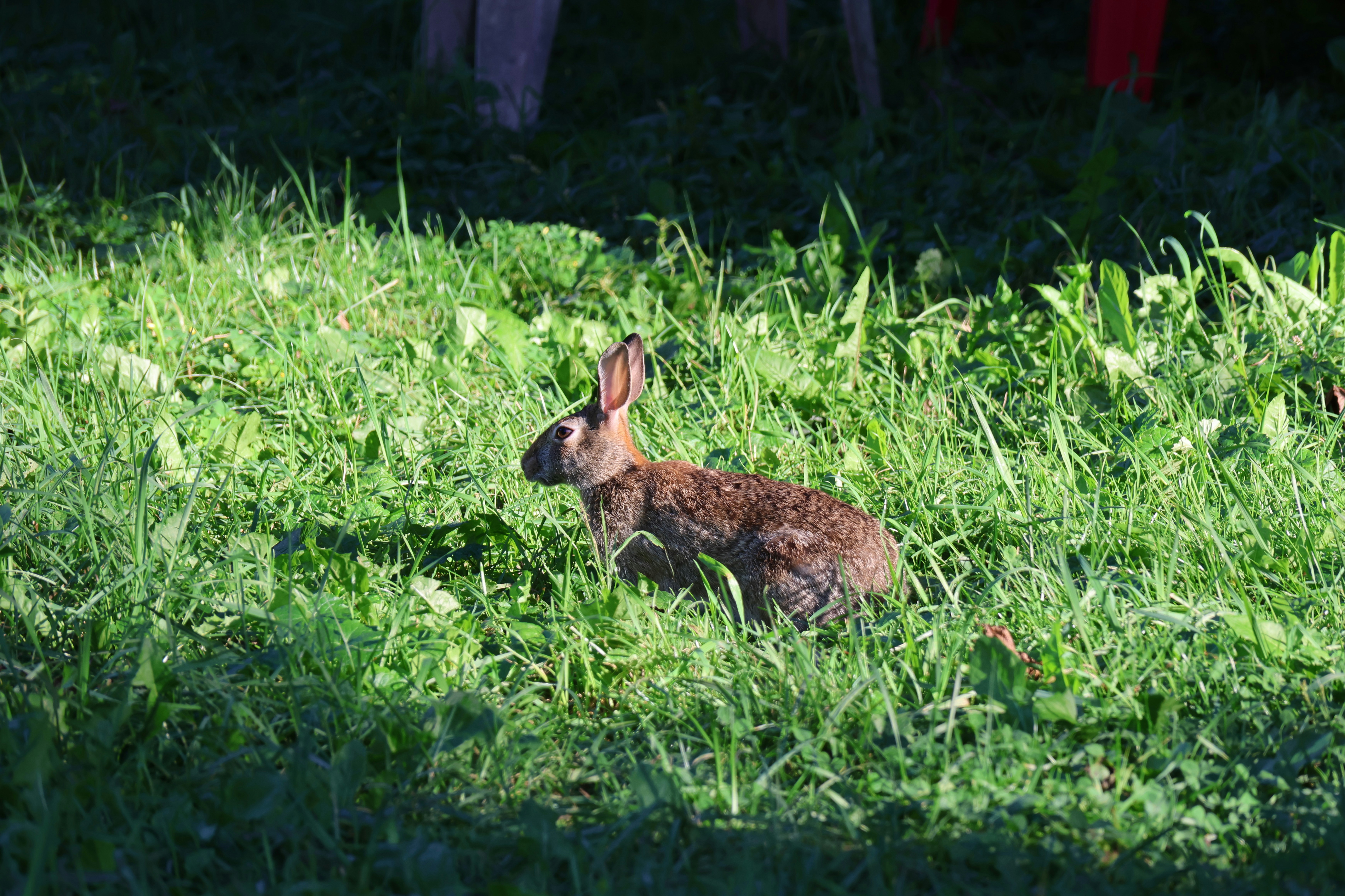 Photo by princeprajapati