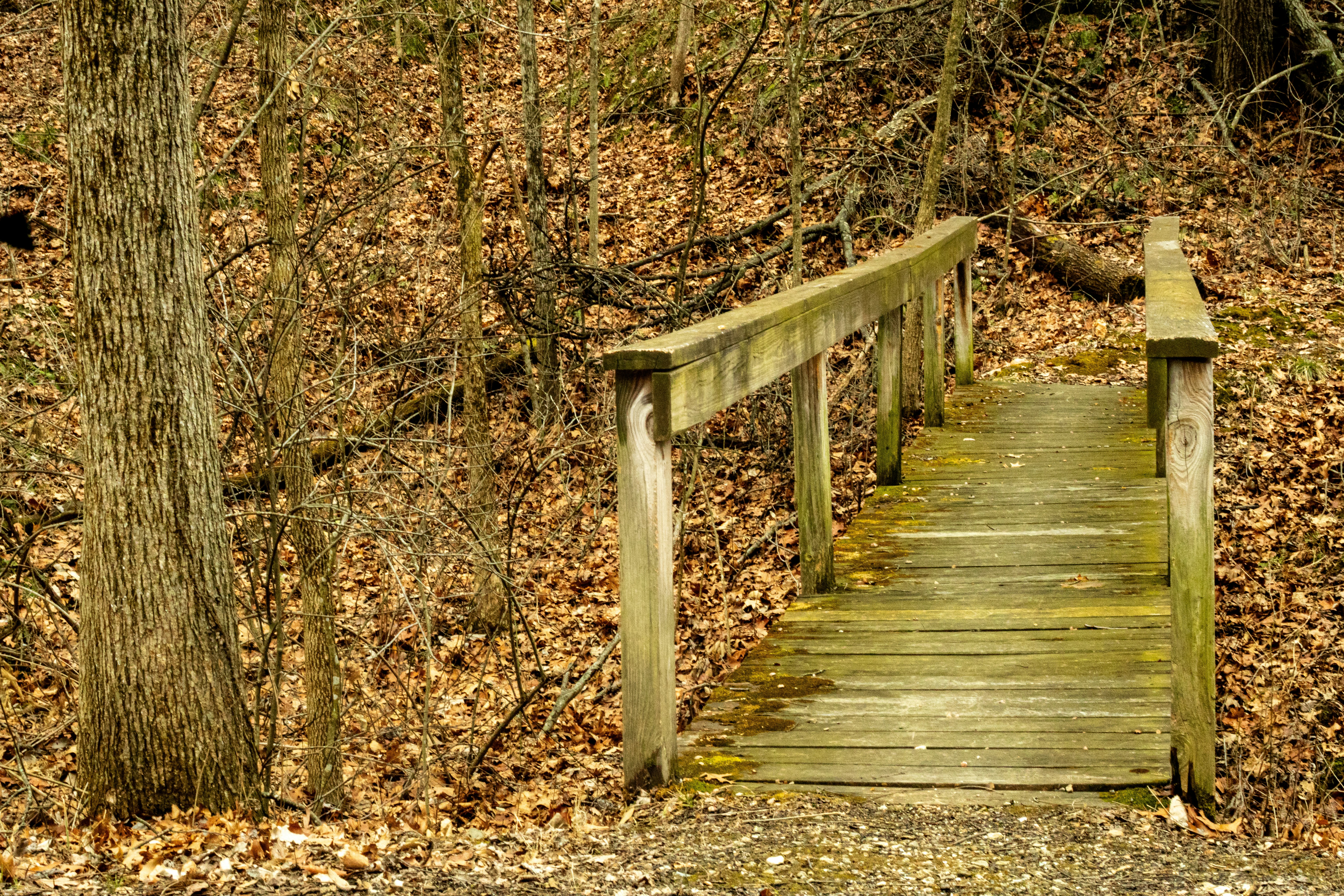 Photo by thelegenderry