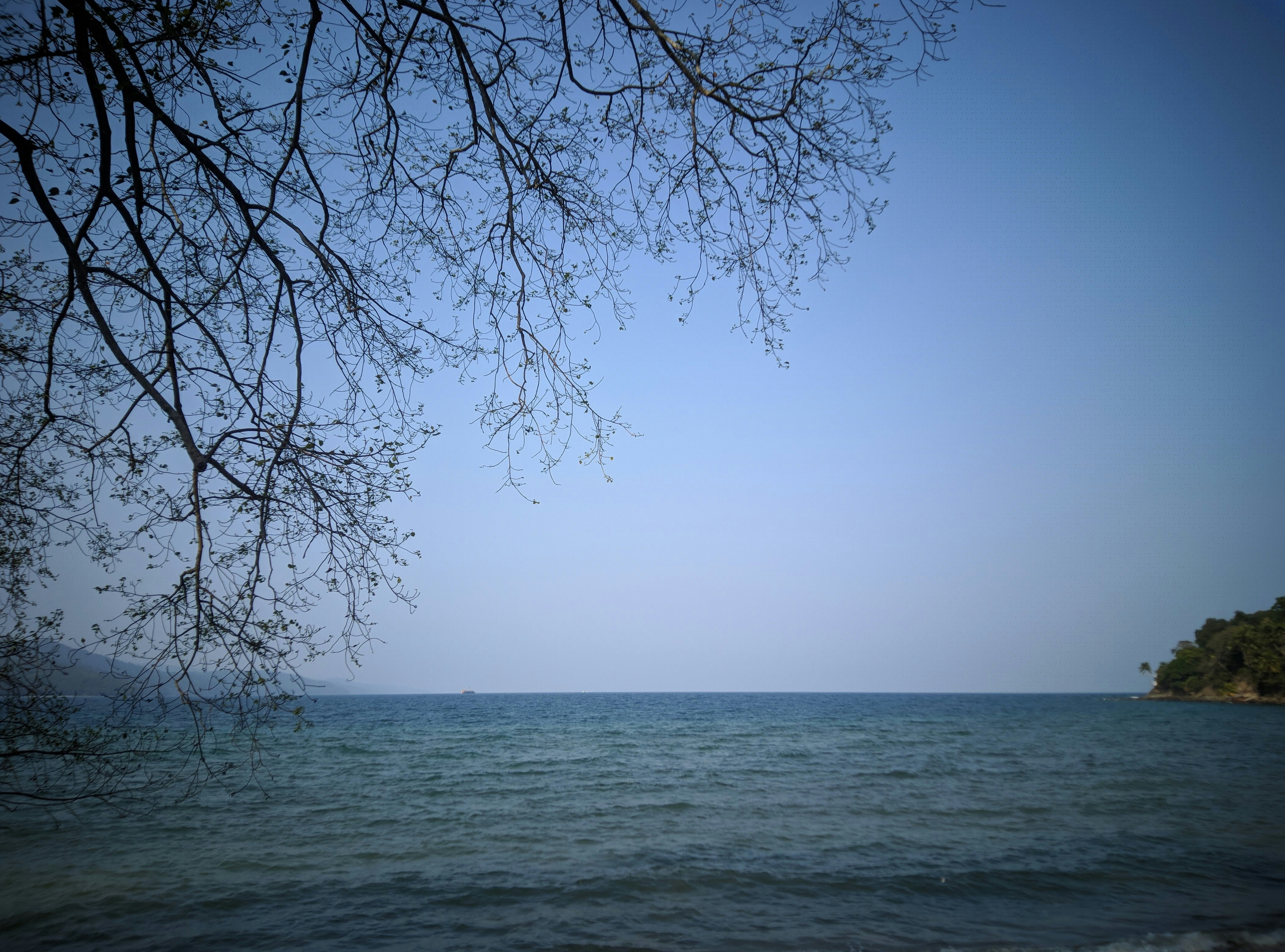 Photo by fahadputhawala