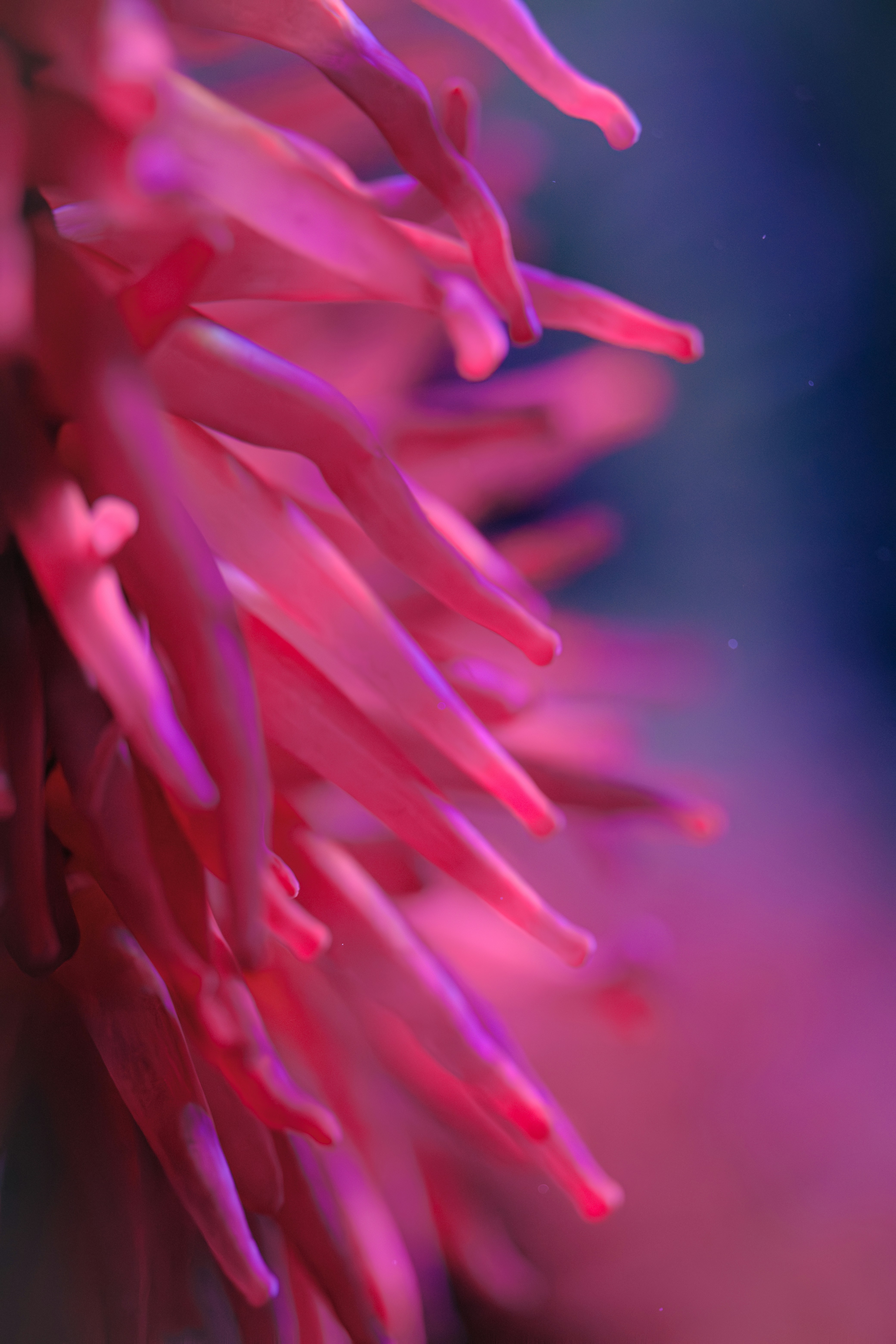 Photo by alishahlakhani