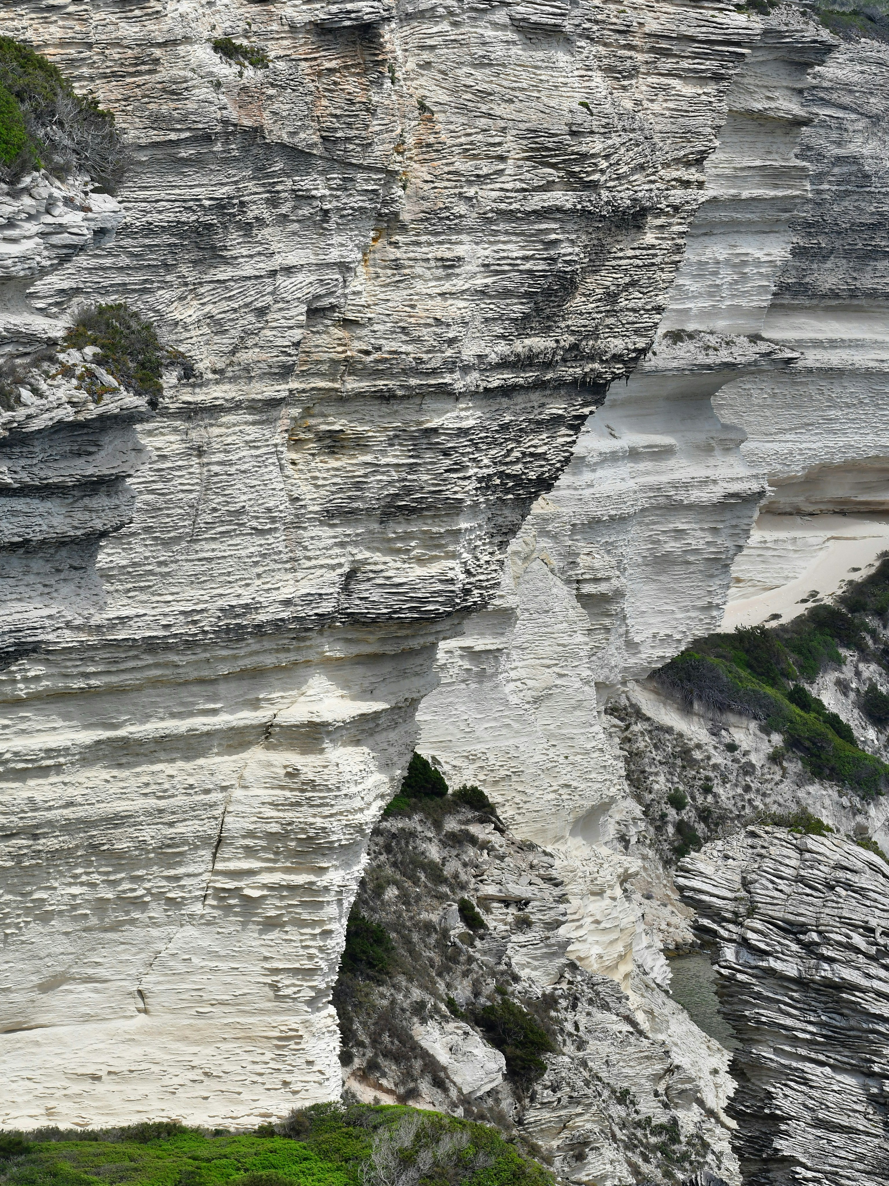 Photo by pedrino5_official