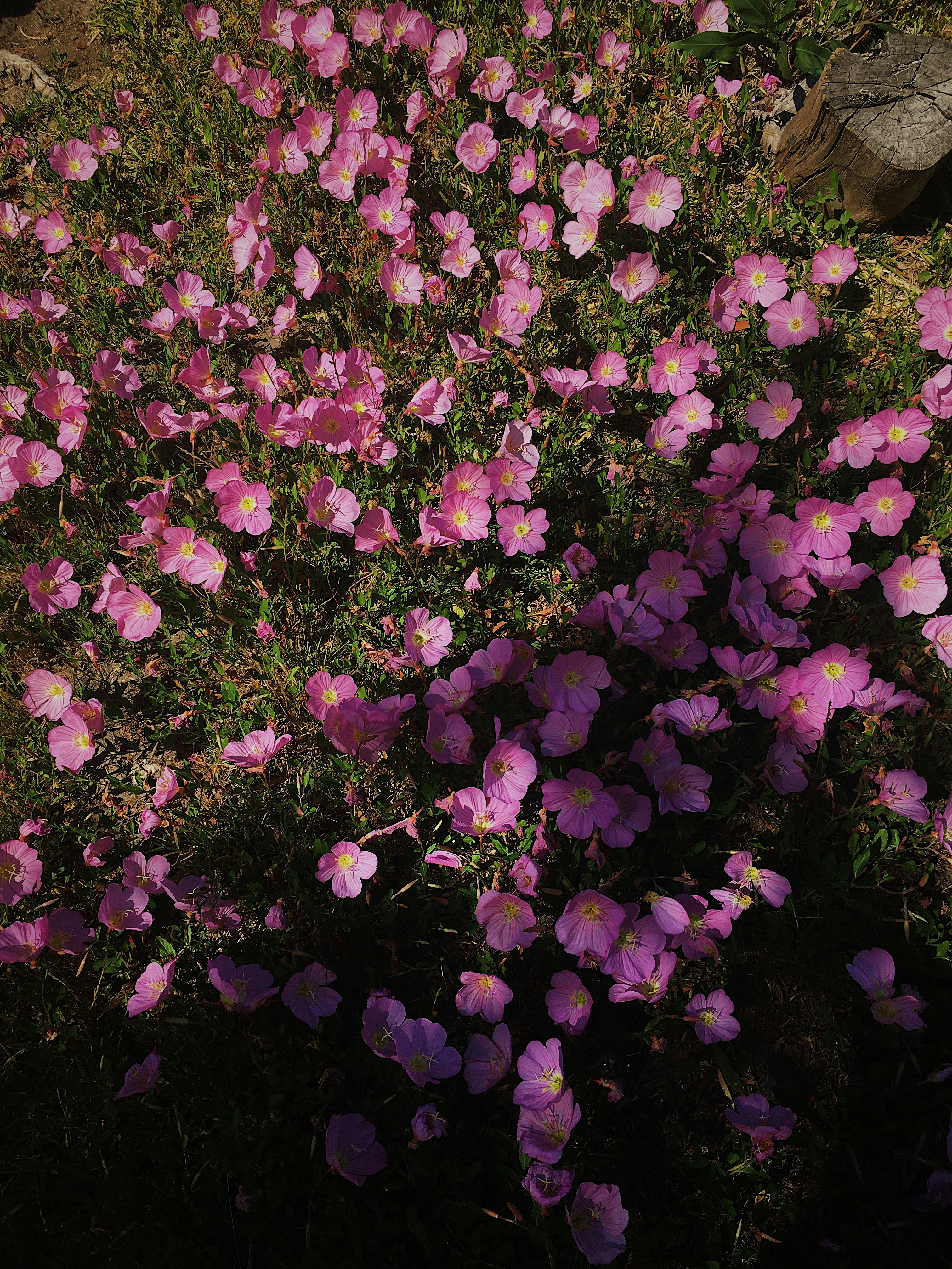 Photo by unonueveochotres