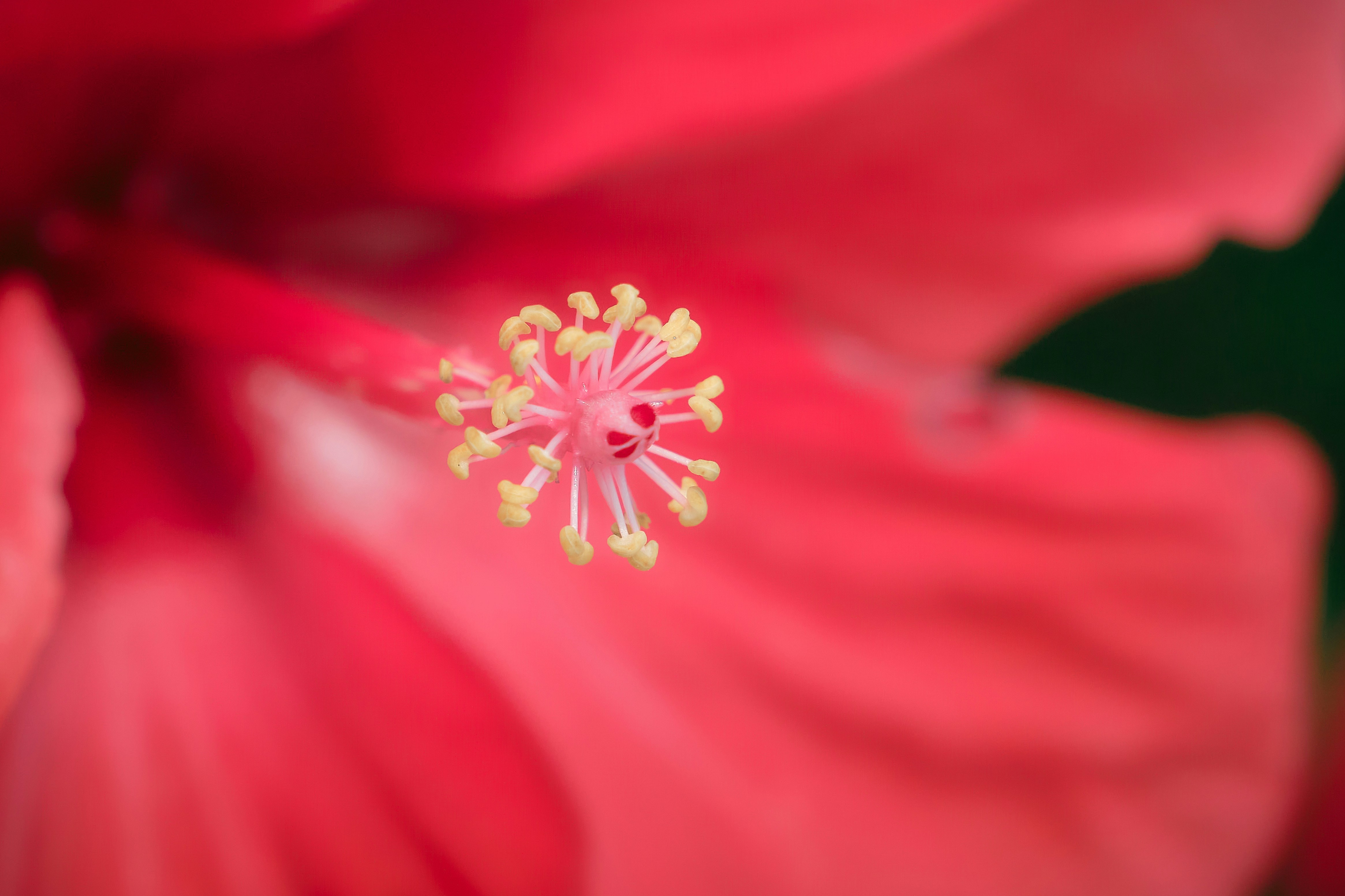 Photo by alishahlakhani