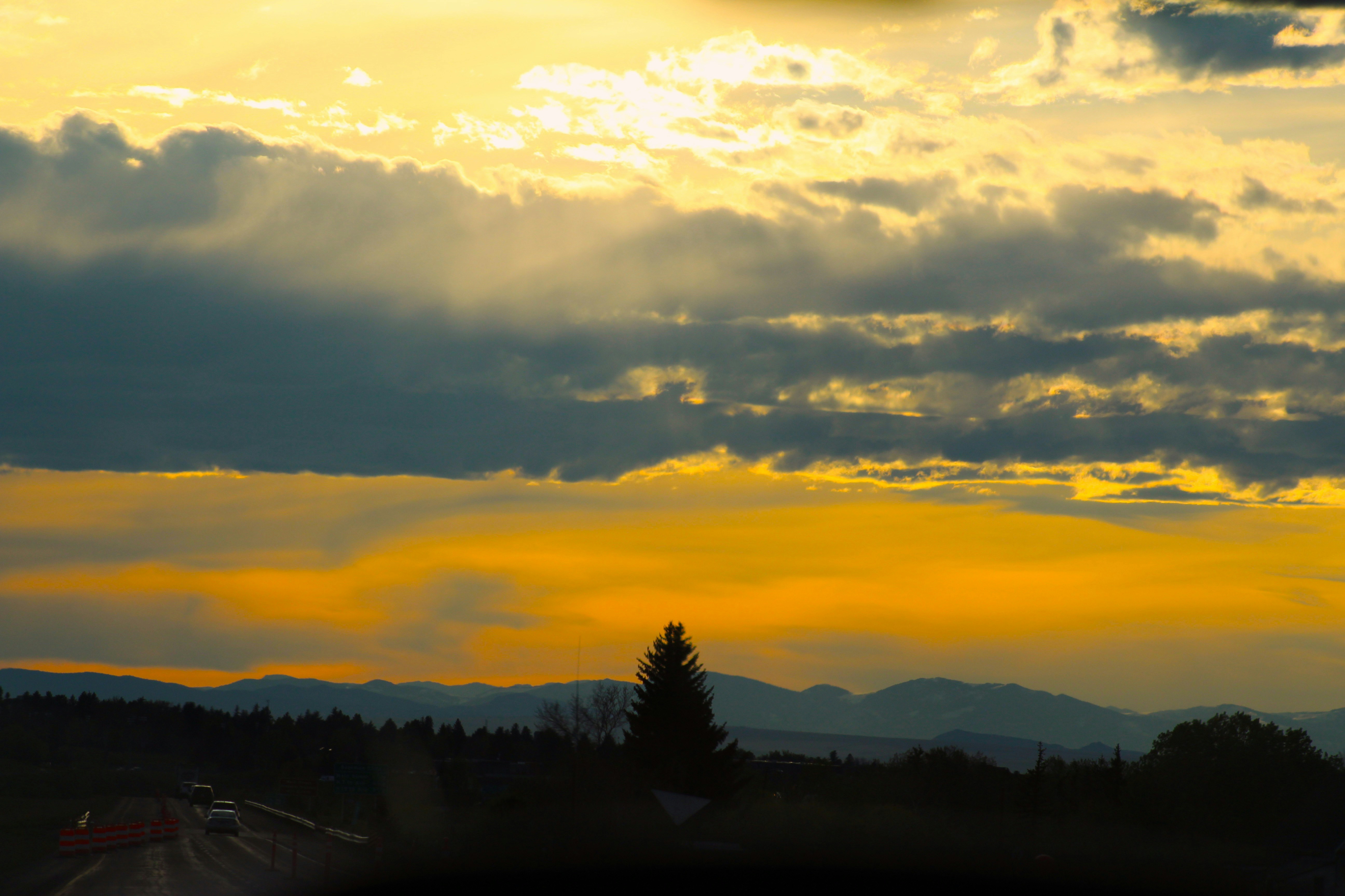 Photo by donutandguy