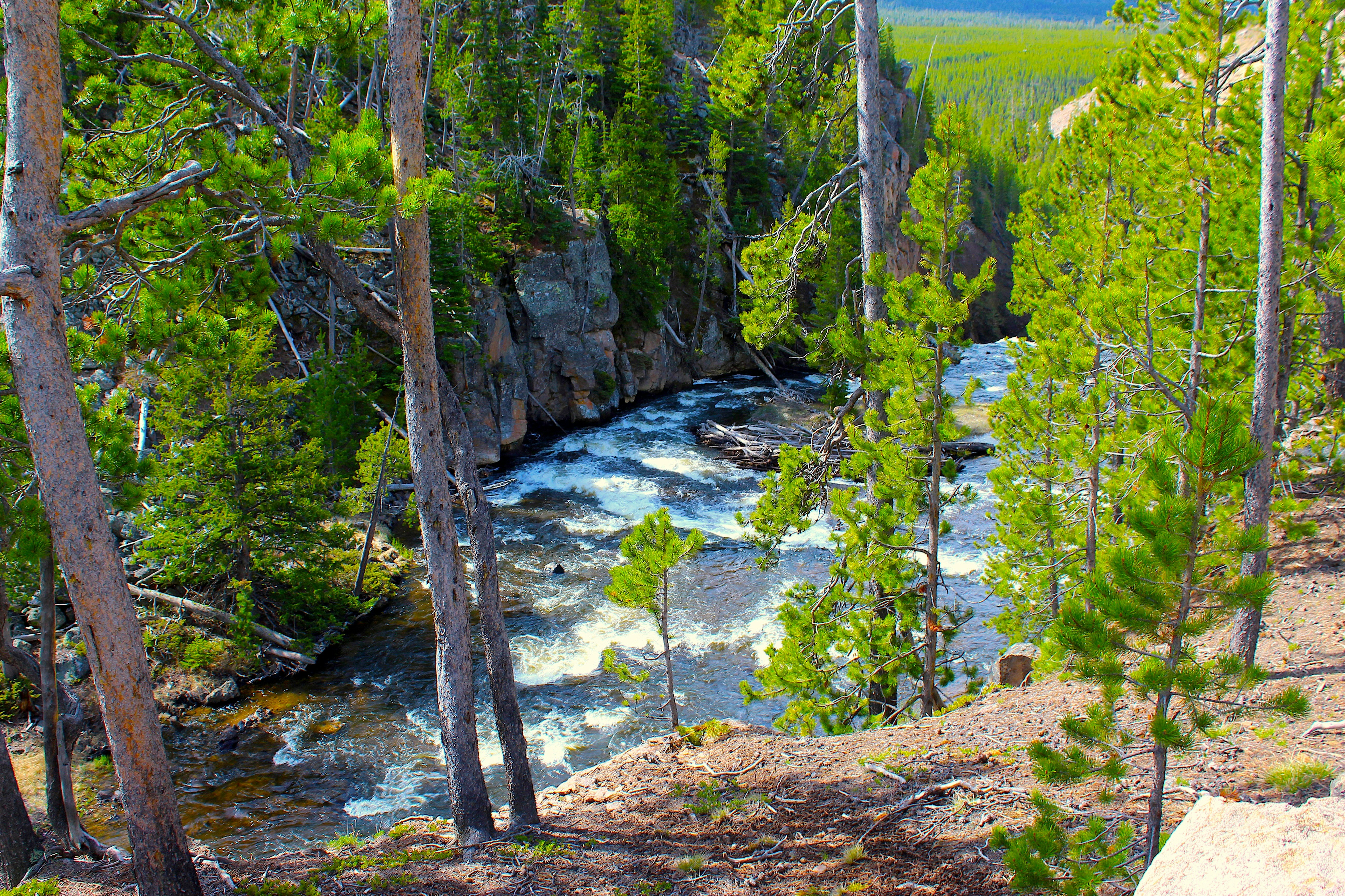 Photo by donutandguy