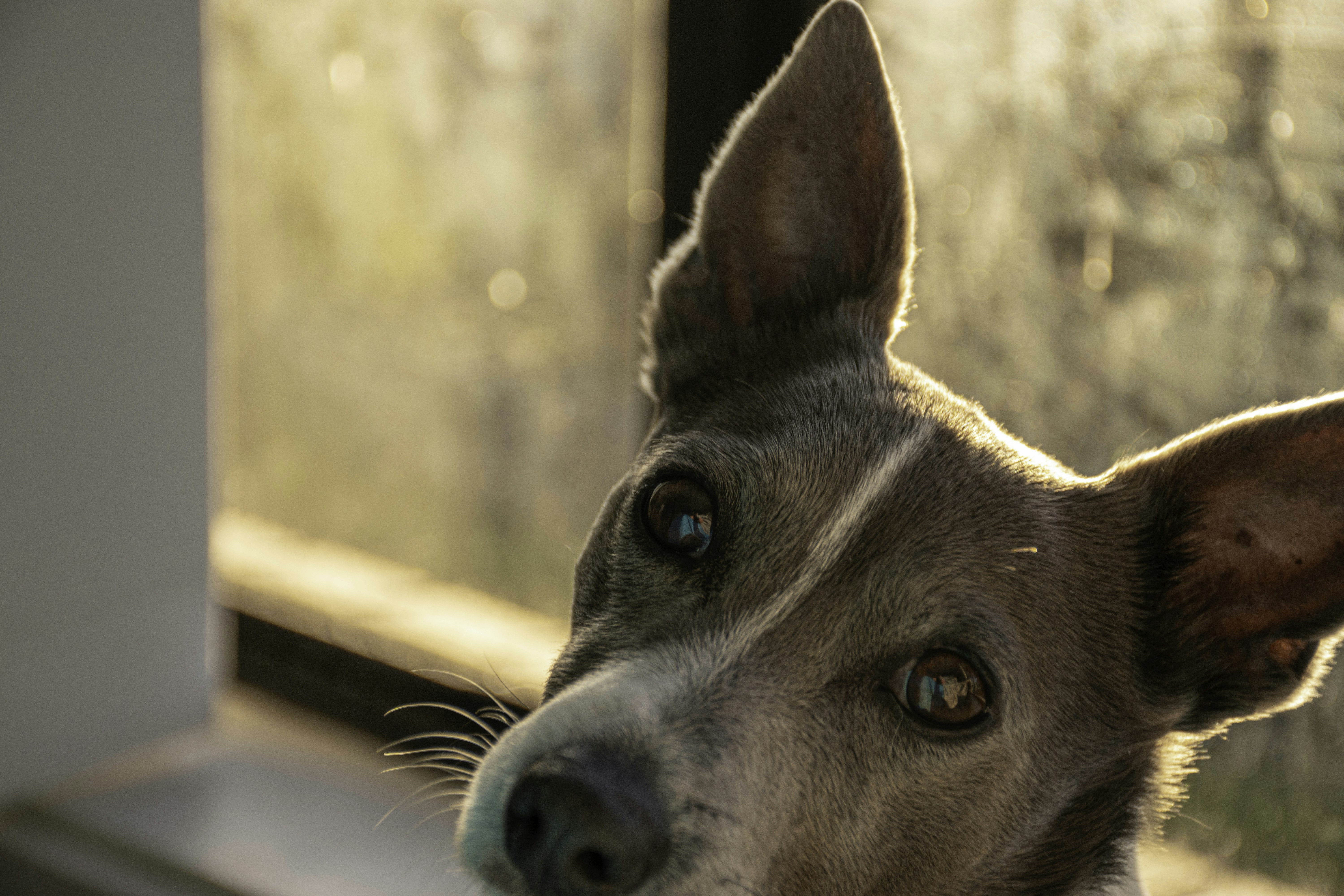 Photo by adam_skrinnikoff