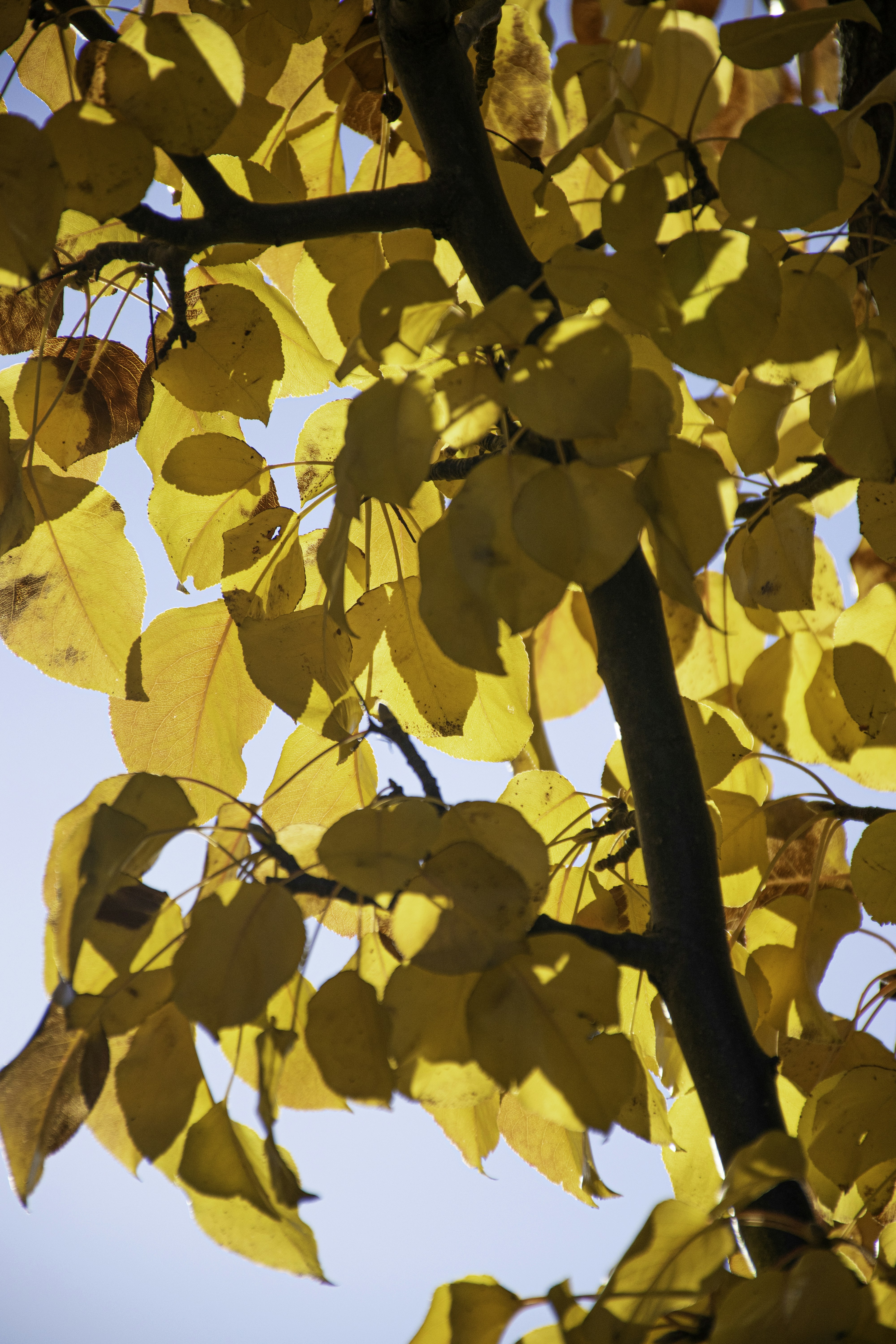 Photo by adam_skrinnikoff