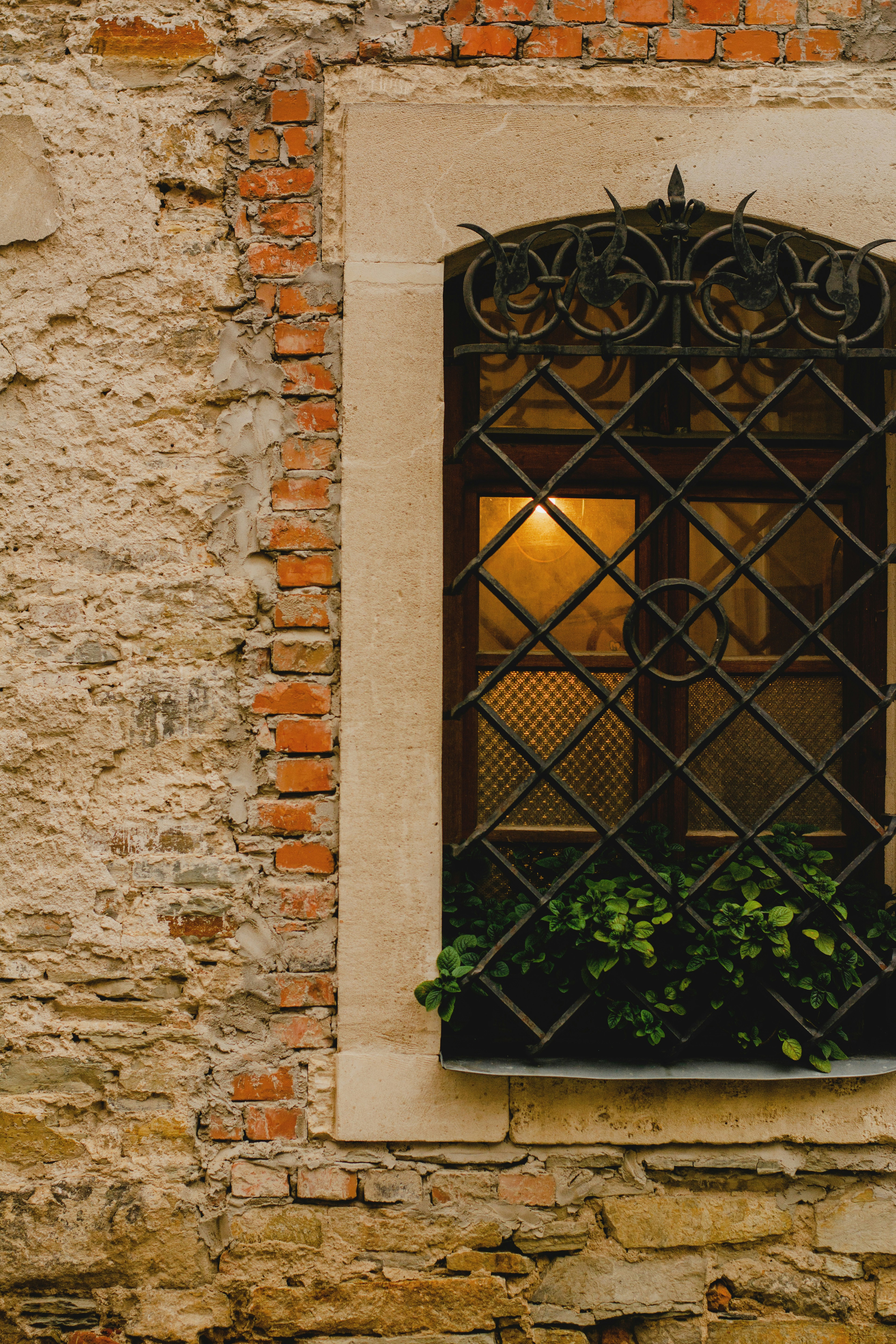 Photo by eugenivy_now