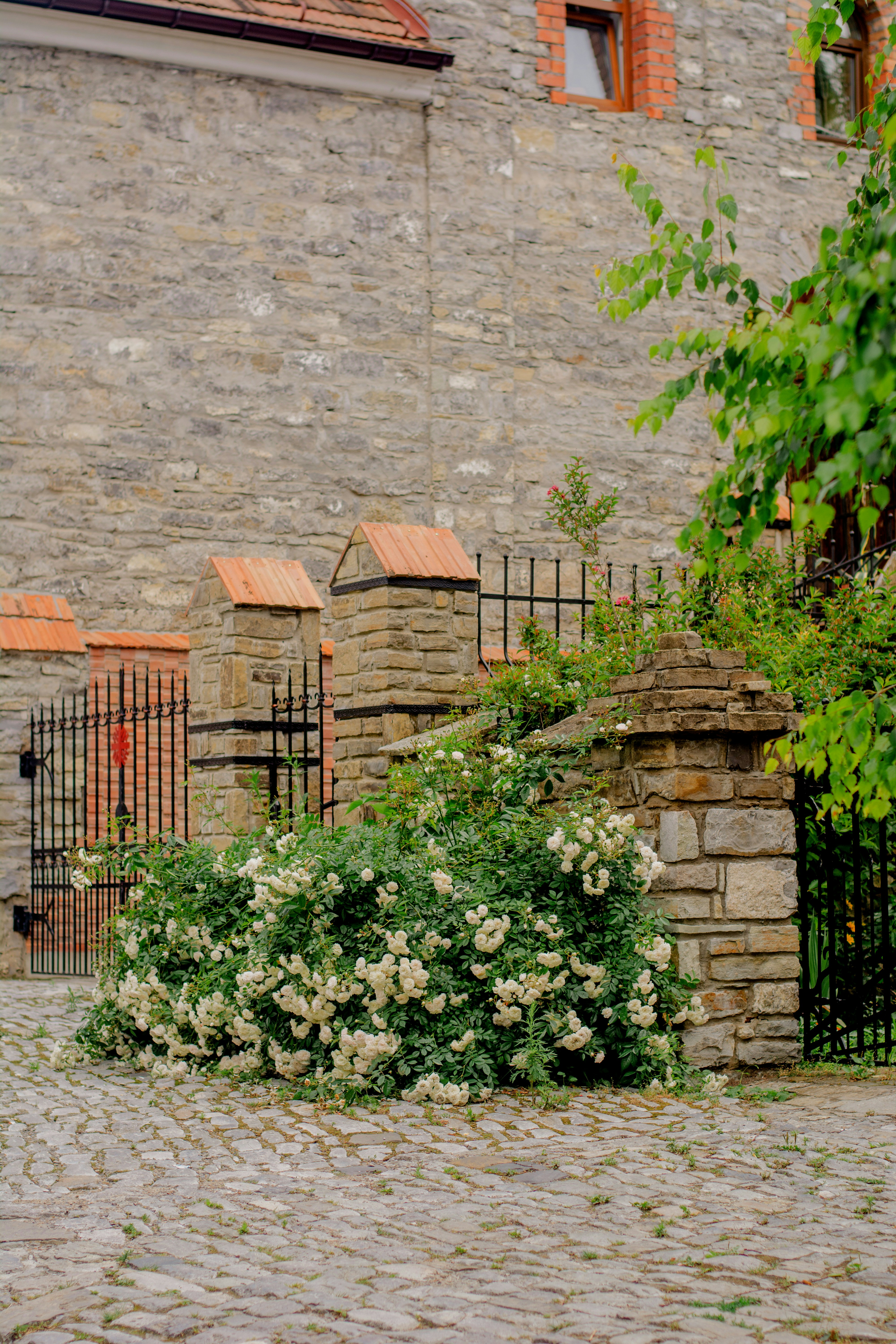 Old City Walls and Gates photo 3