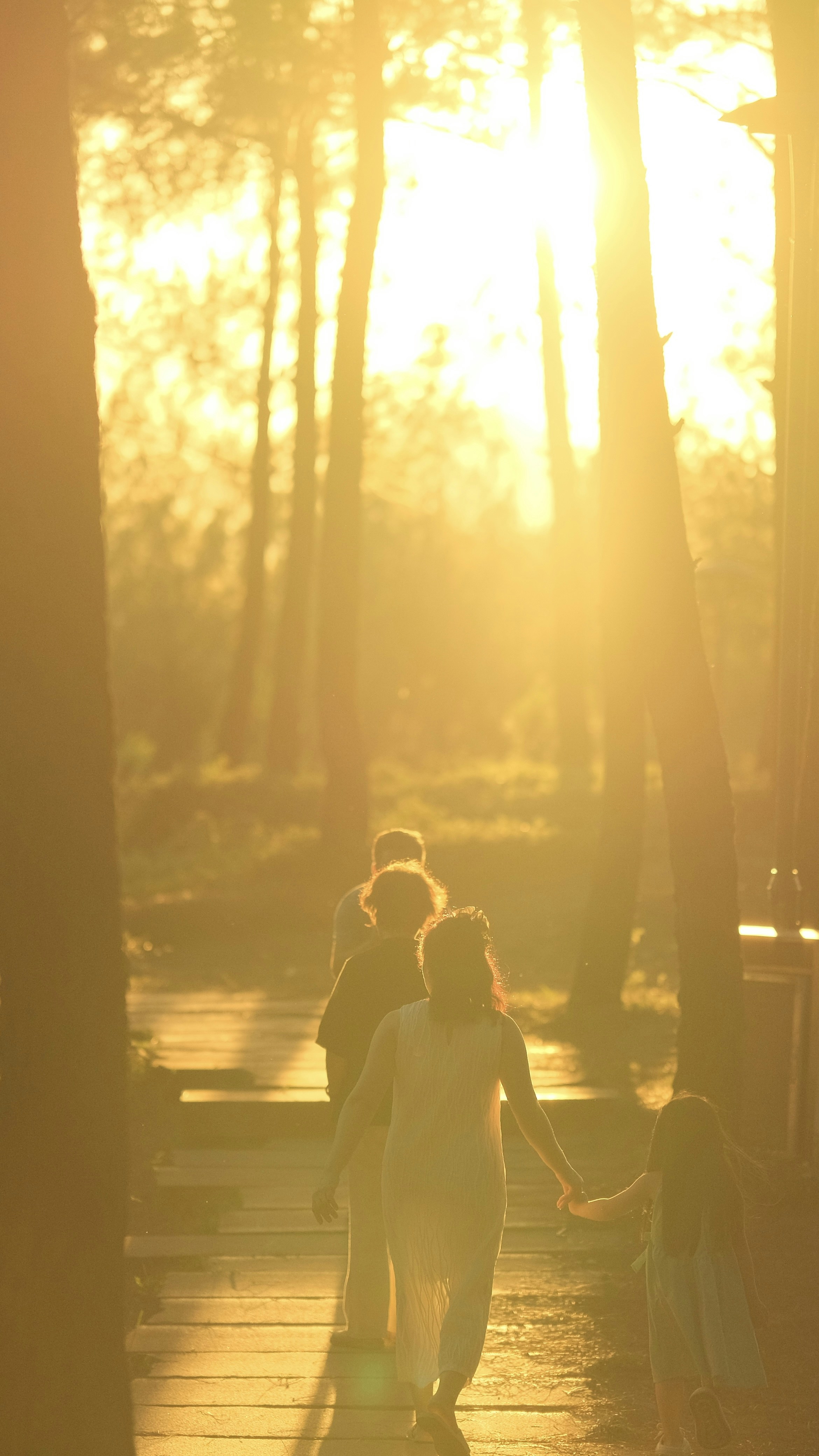 Photo by tutrananh109