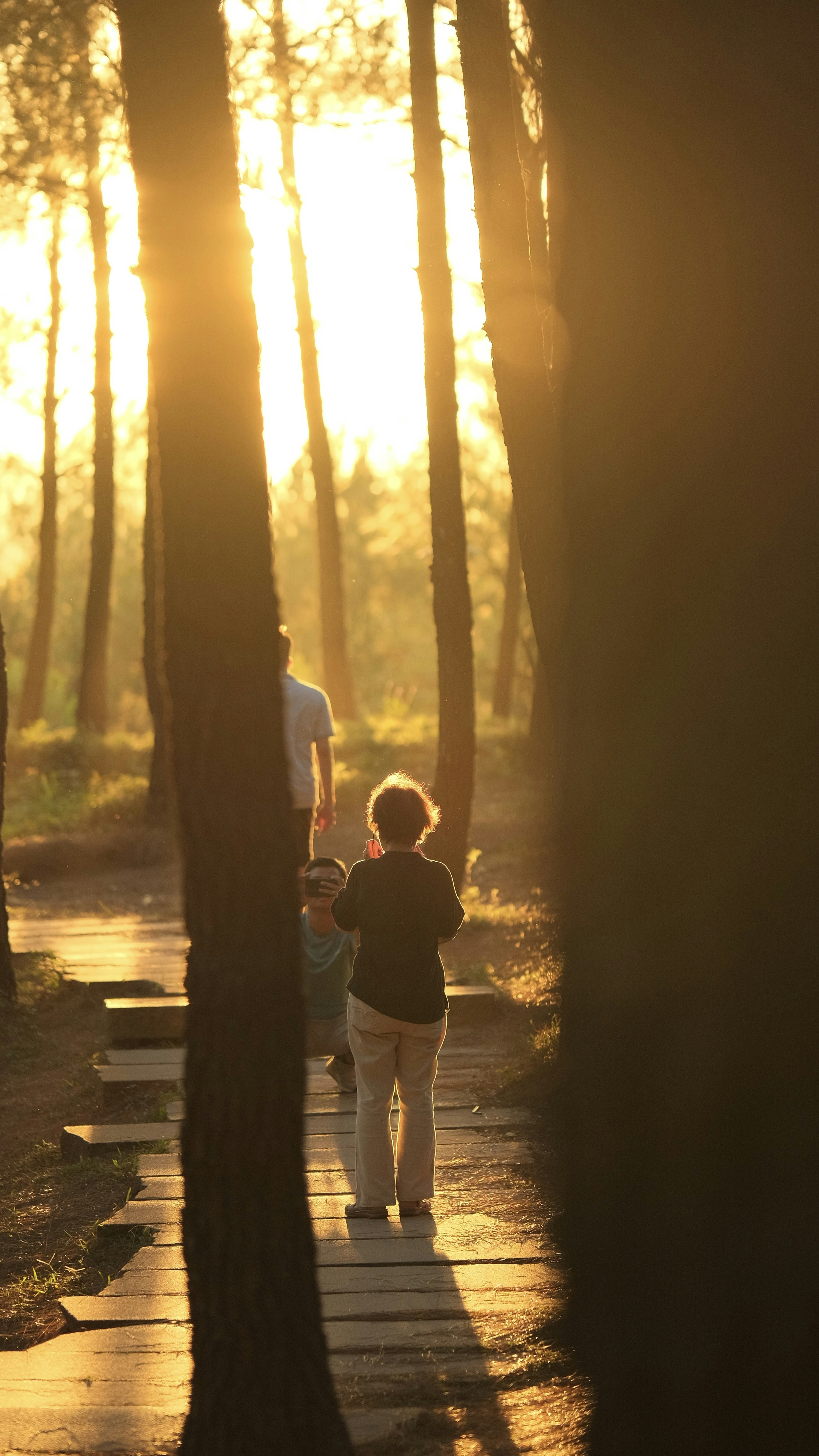 Photo by tutrananh109