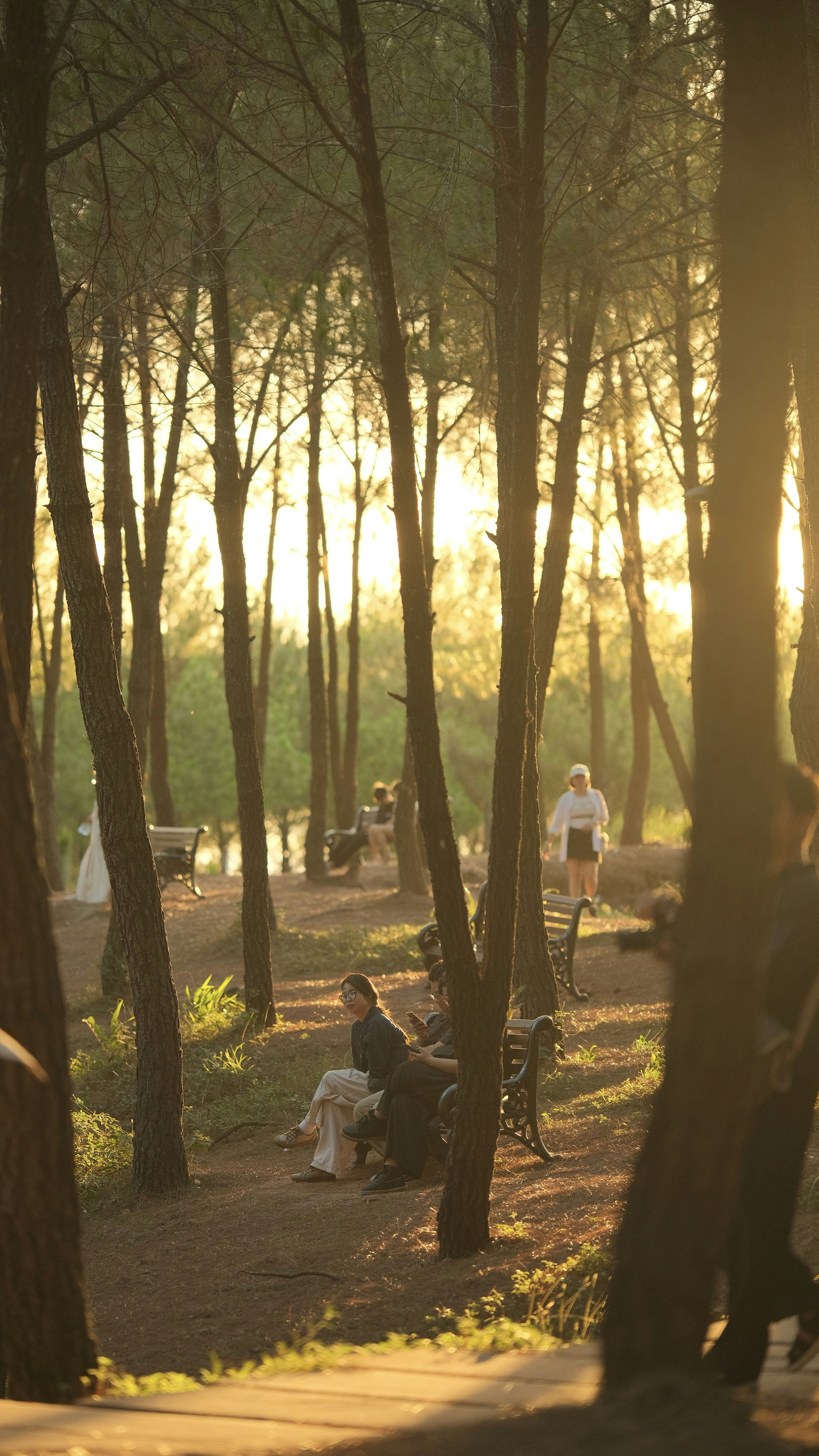 Photo by tutrananh109