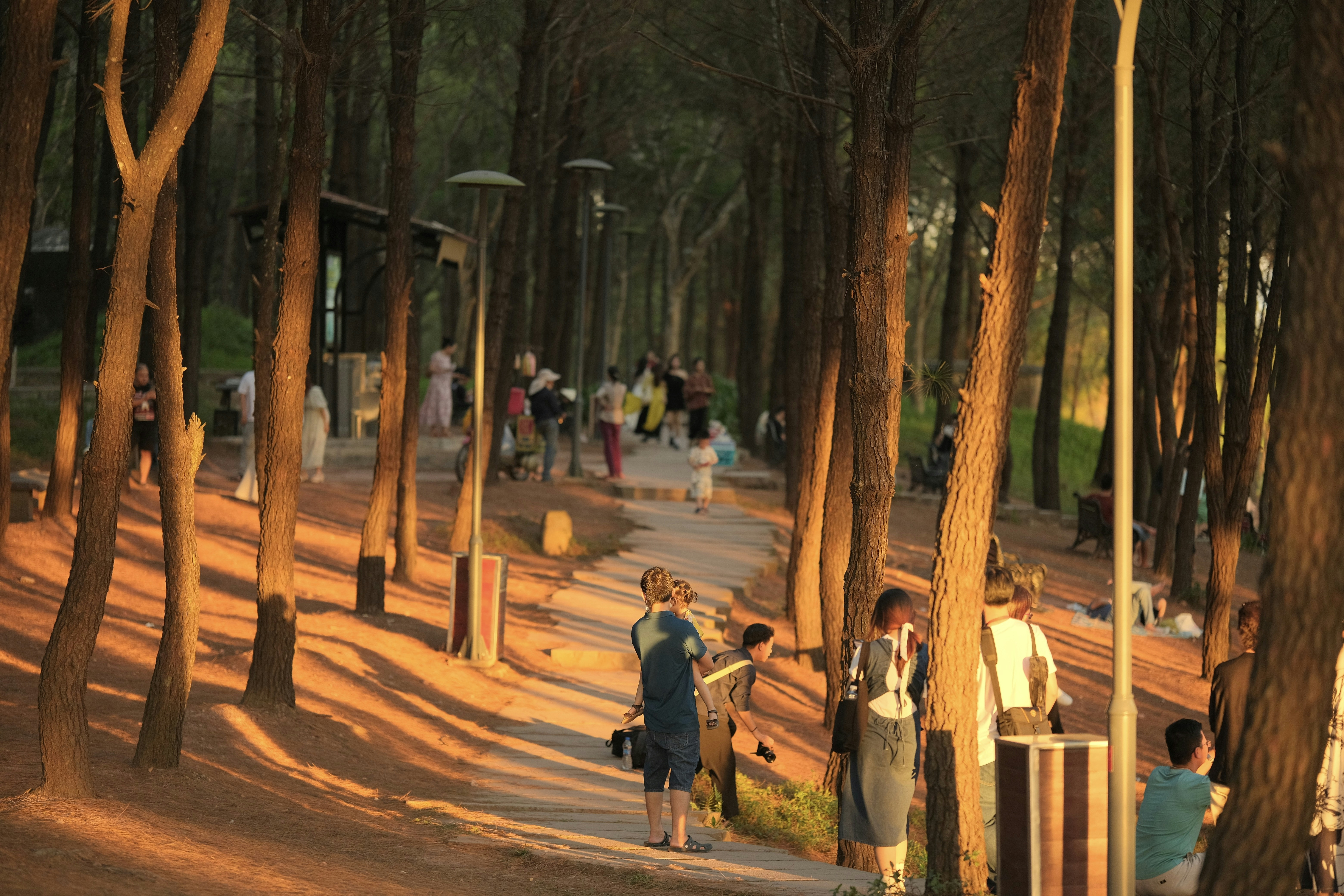 People stroll along a path in a forest.