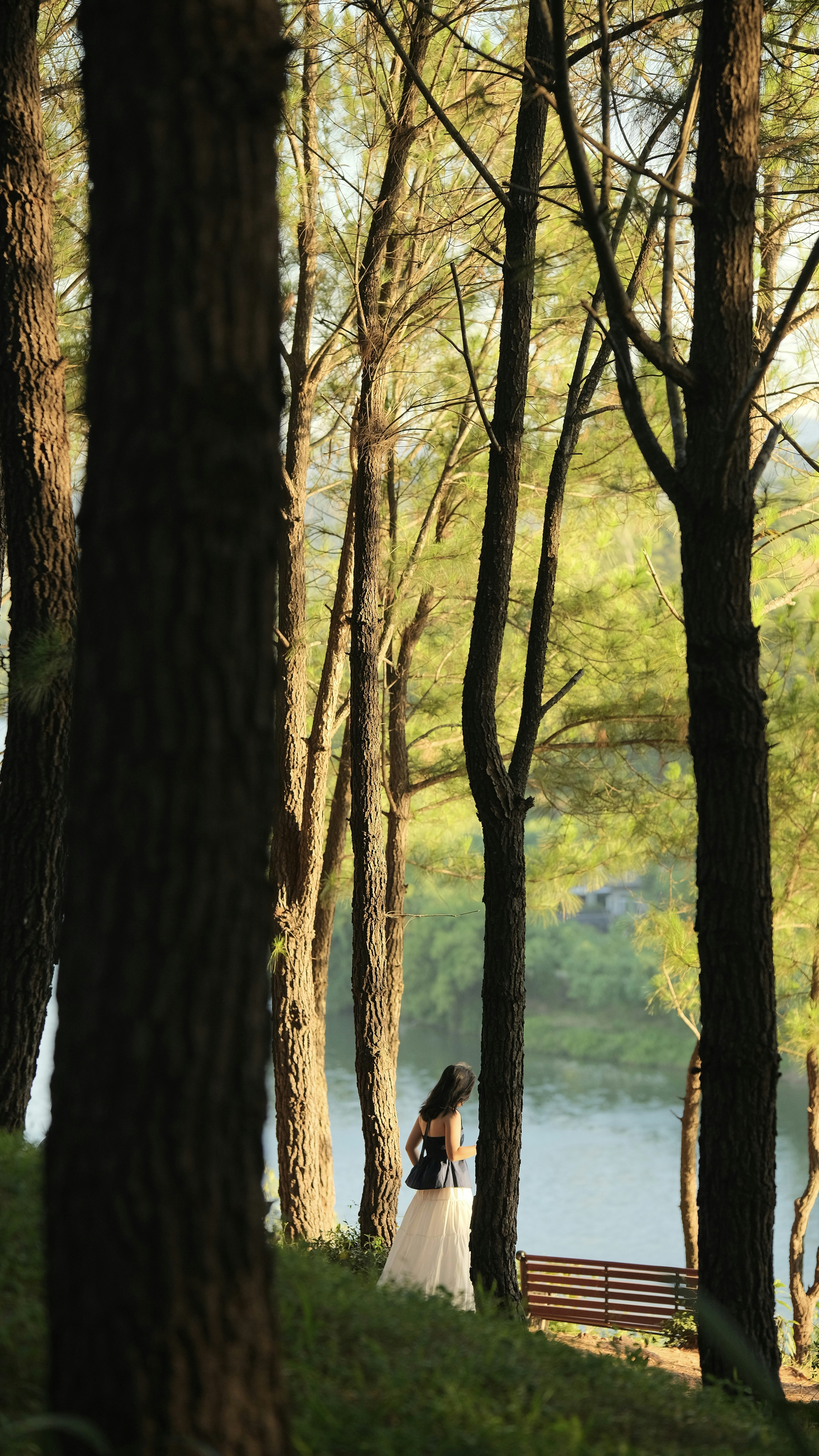 Photo by tutrananh109