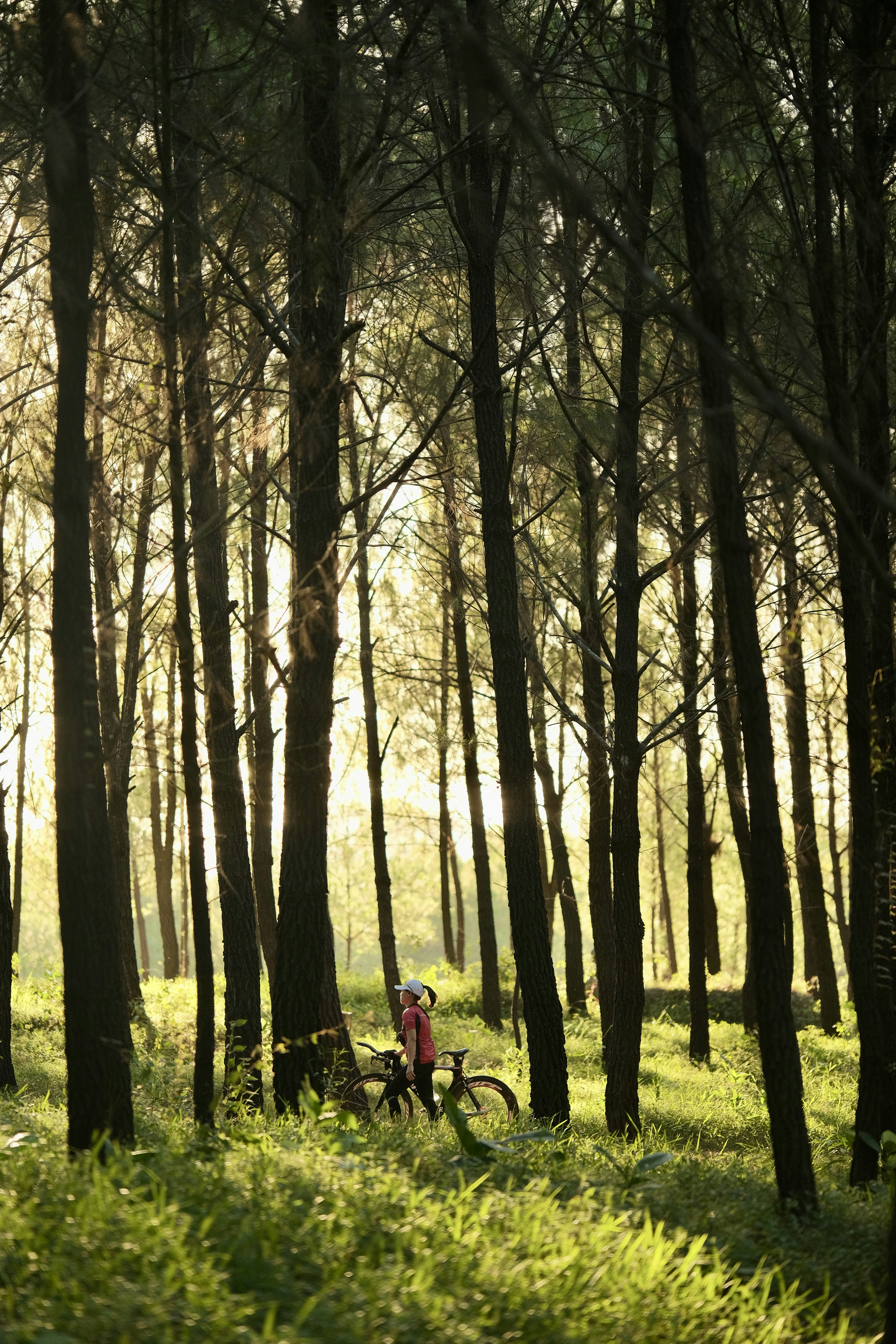 Photo by tutrananh109