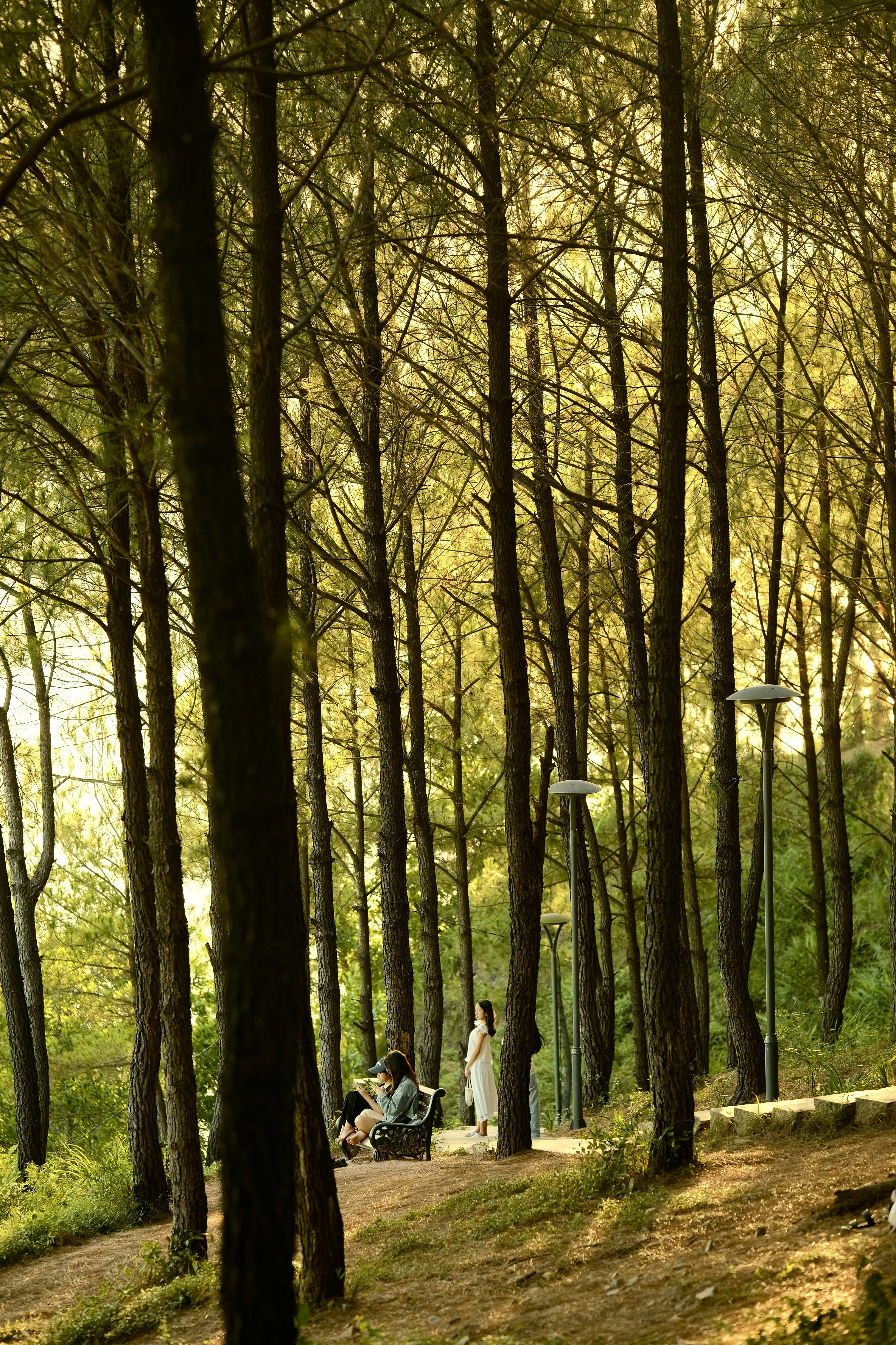 Photo by tutrananh109