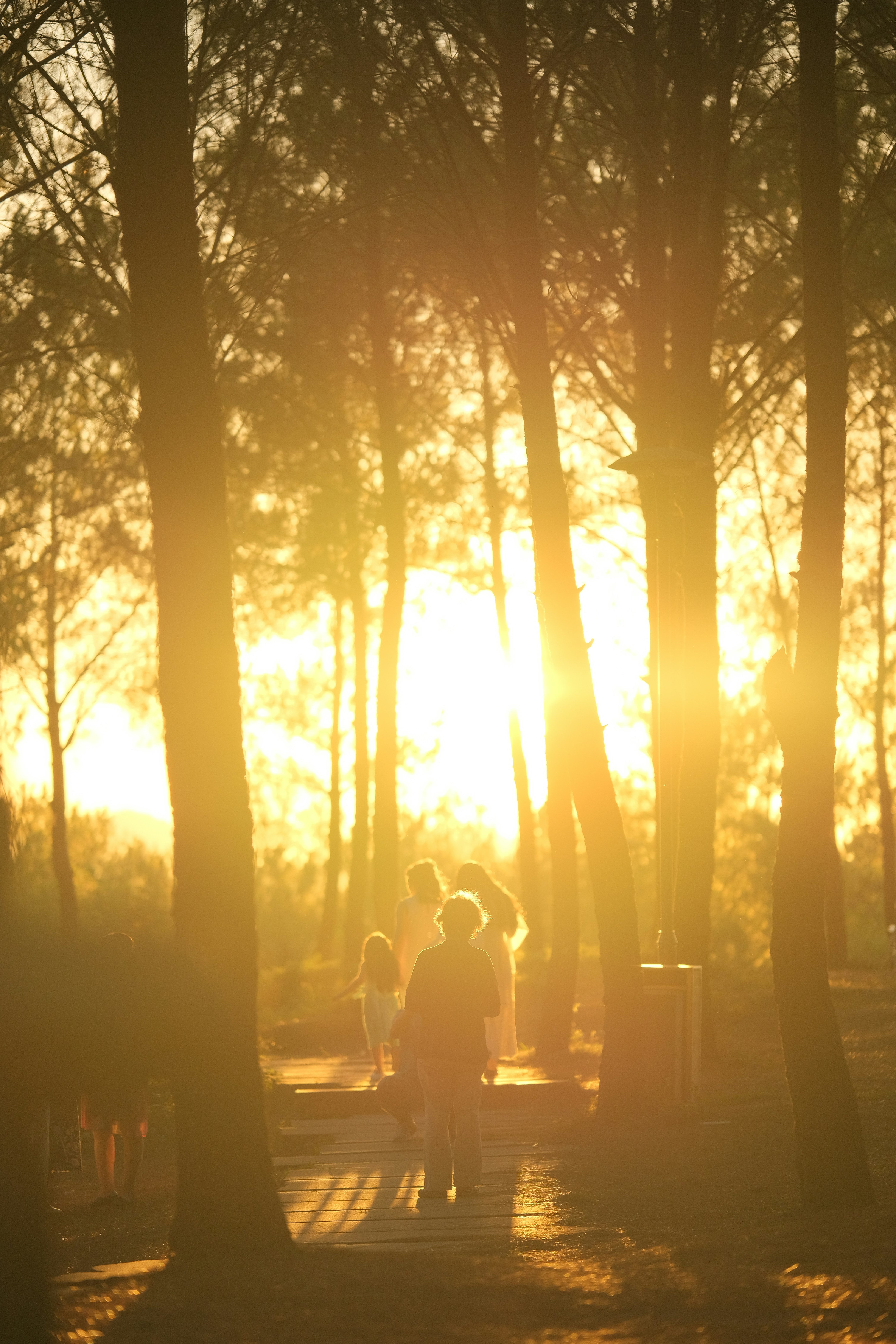 Photo by tutrananh109