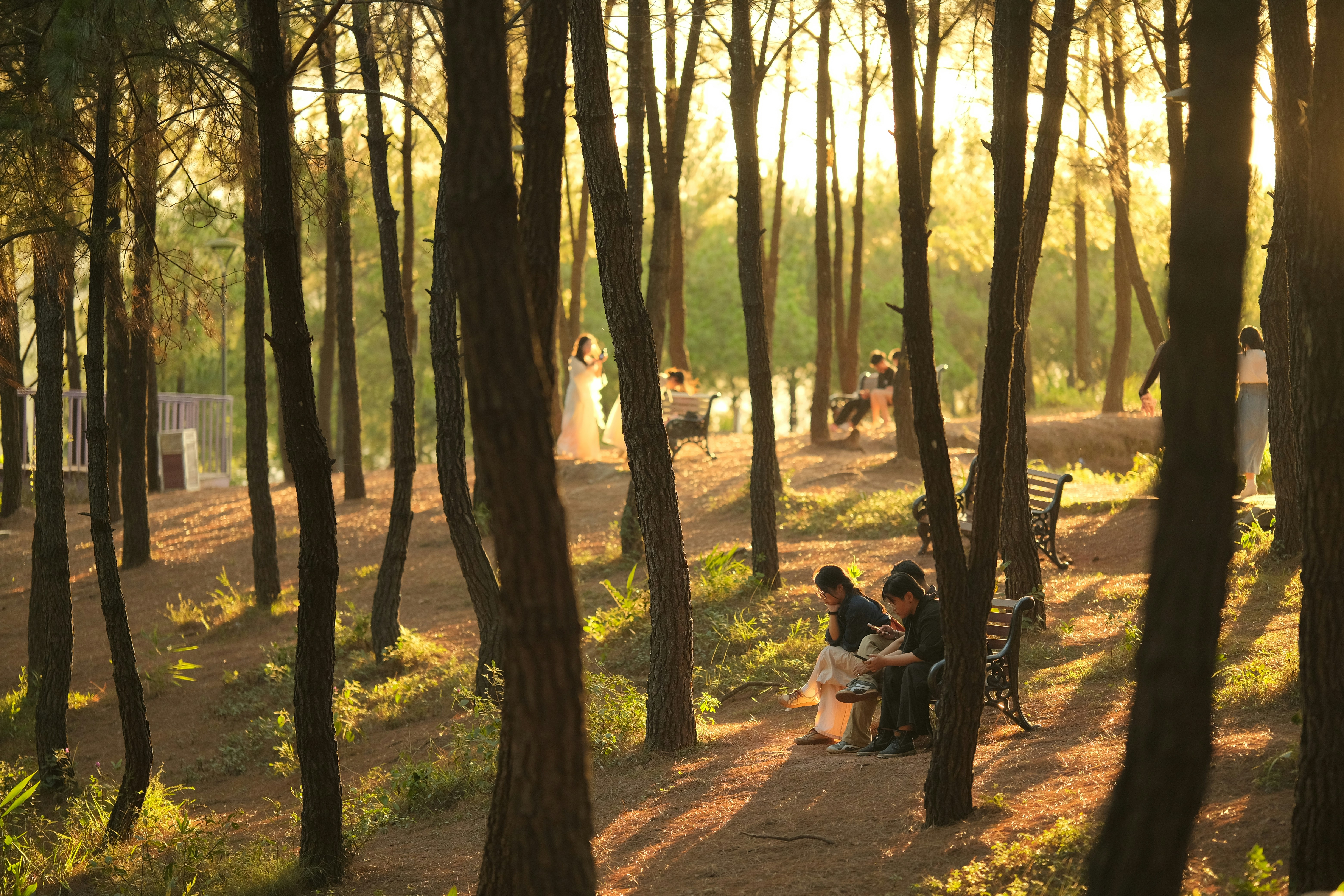 Photo by tutrananh109