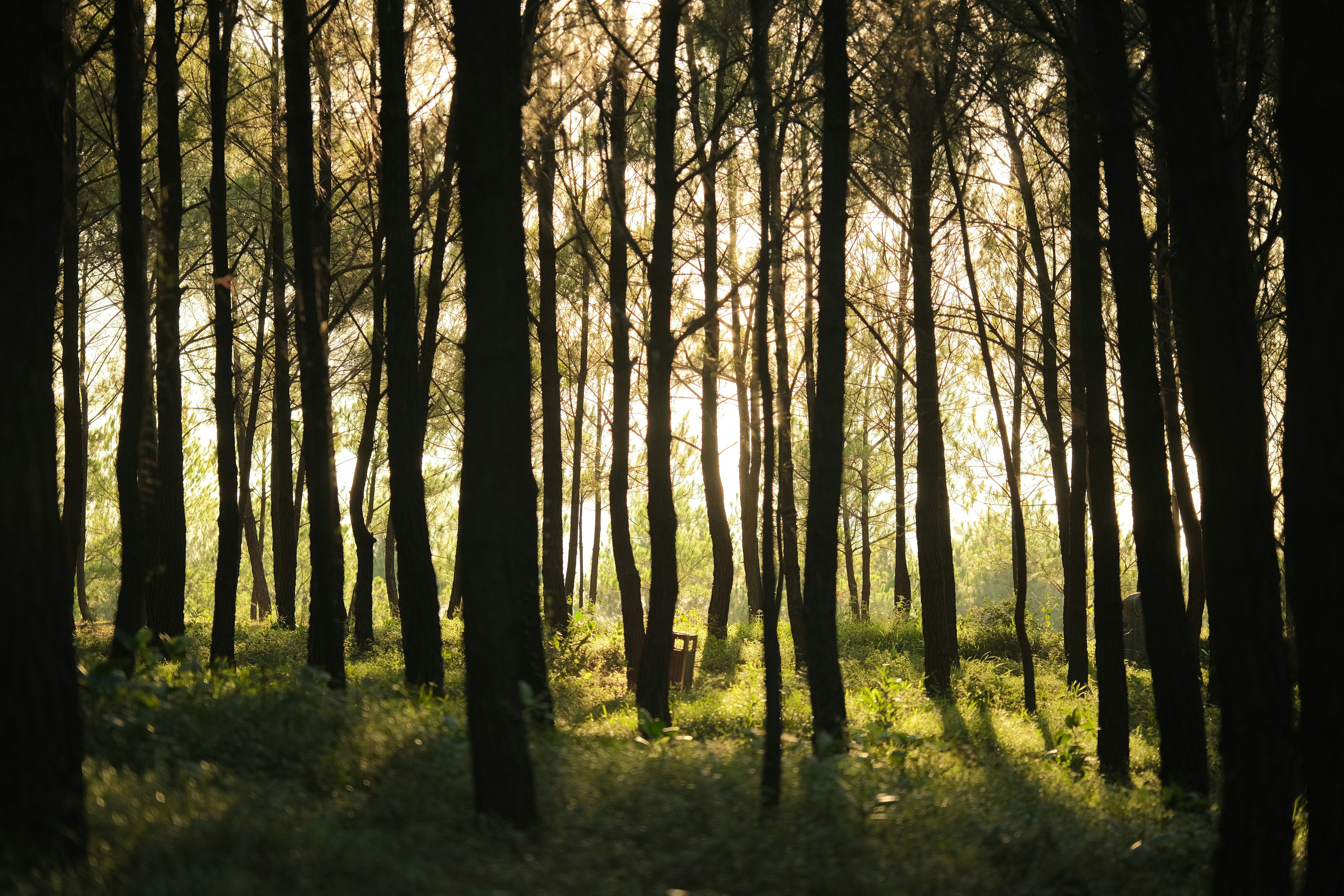 Photo by tutrananh109