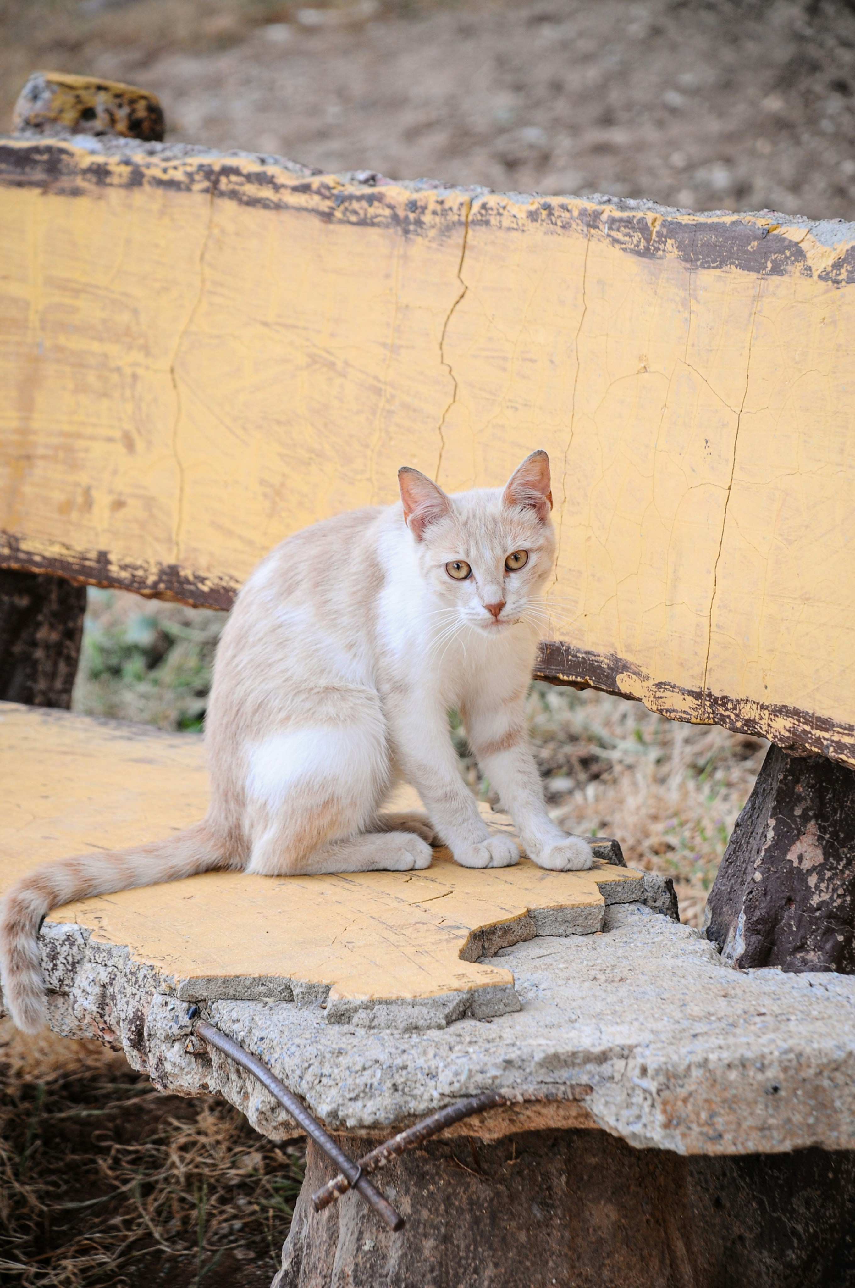 Photo by visualbydeniz