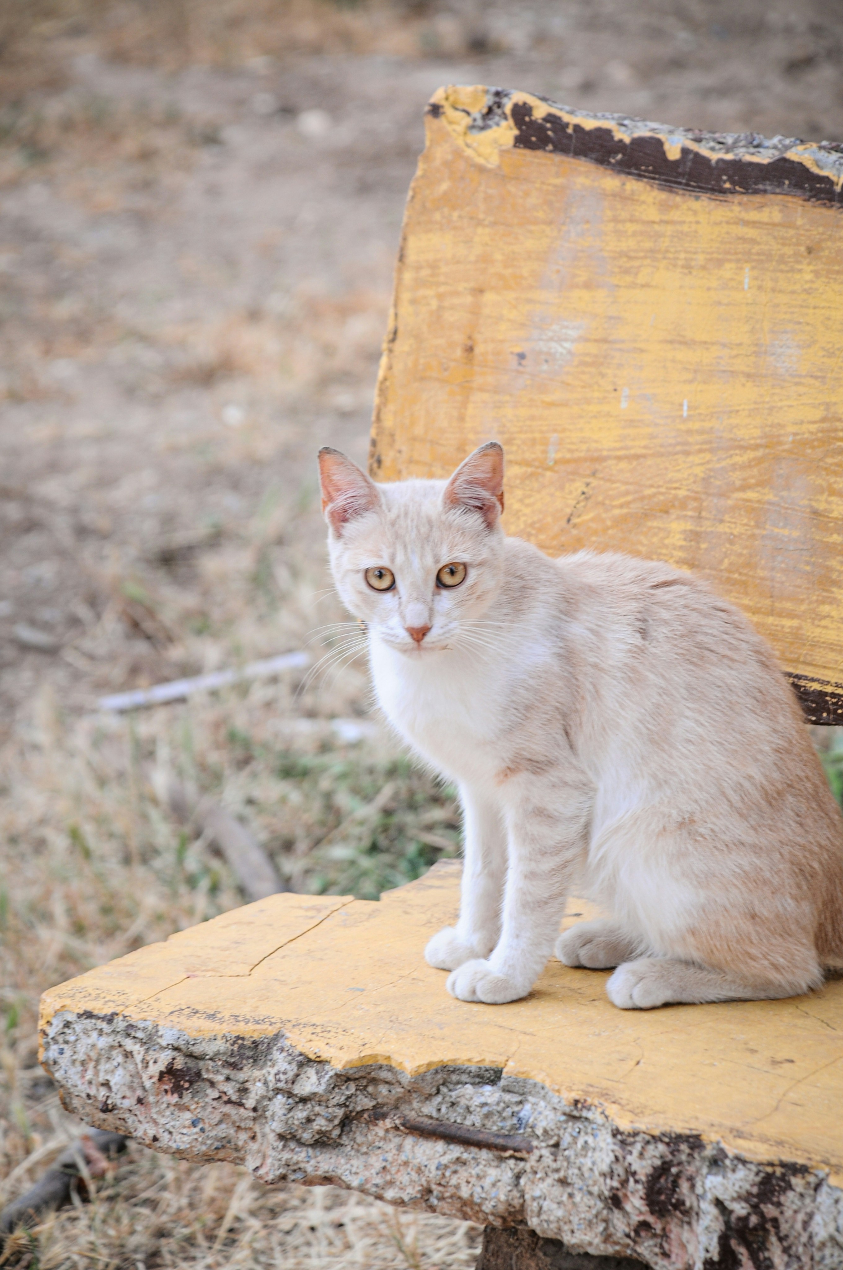 Photo by visualbydeniz