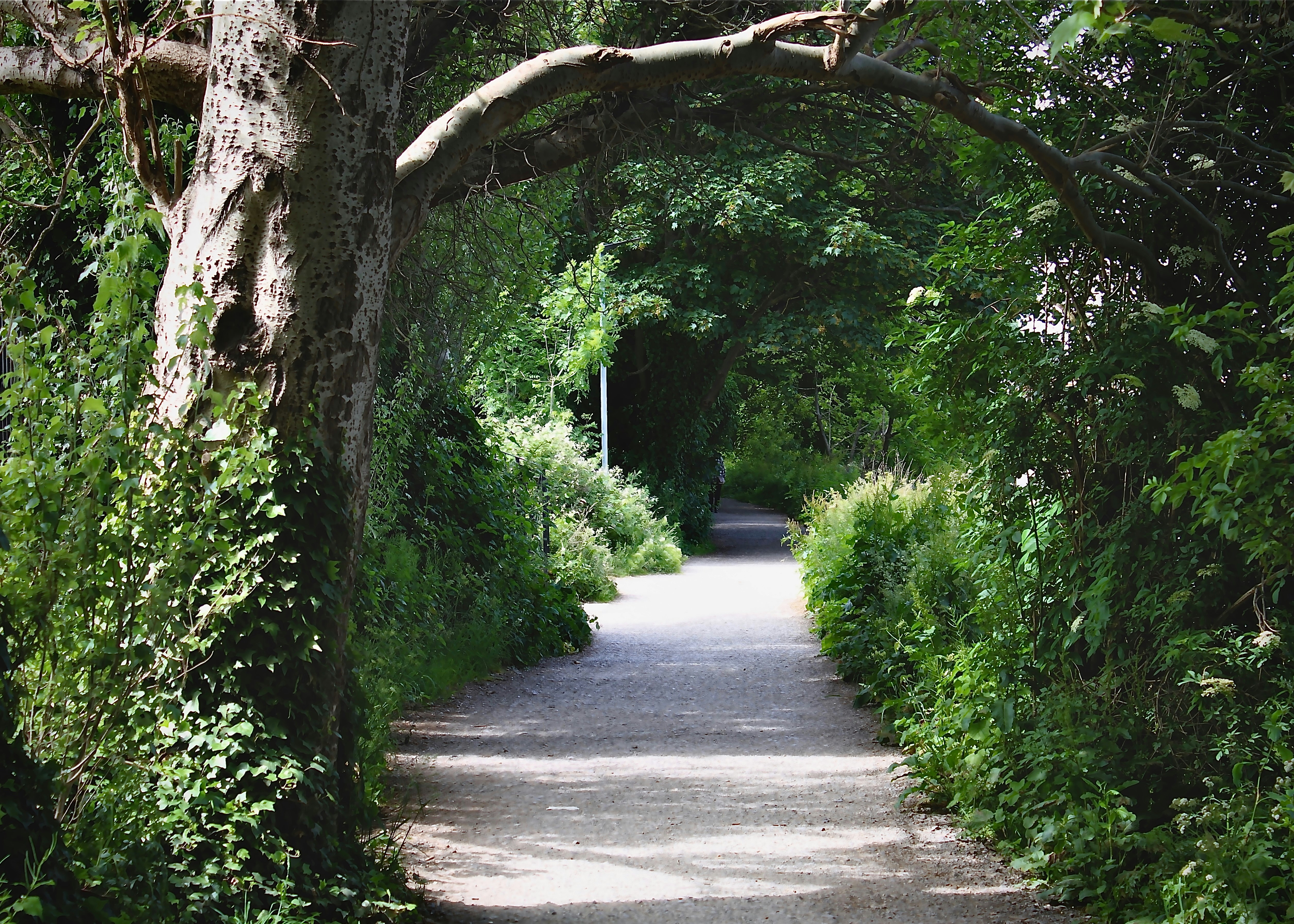 Photo by priyankachechi29