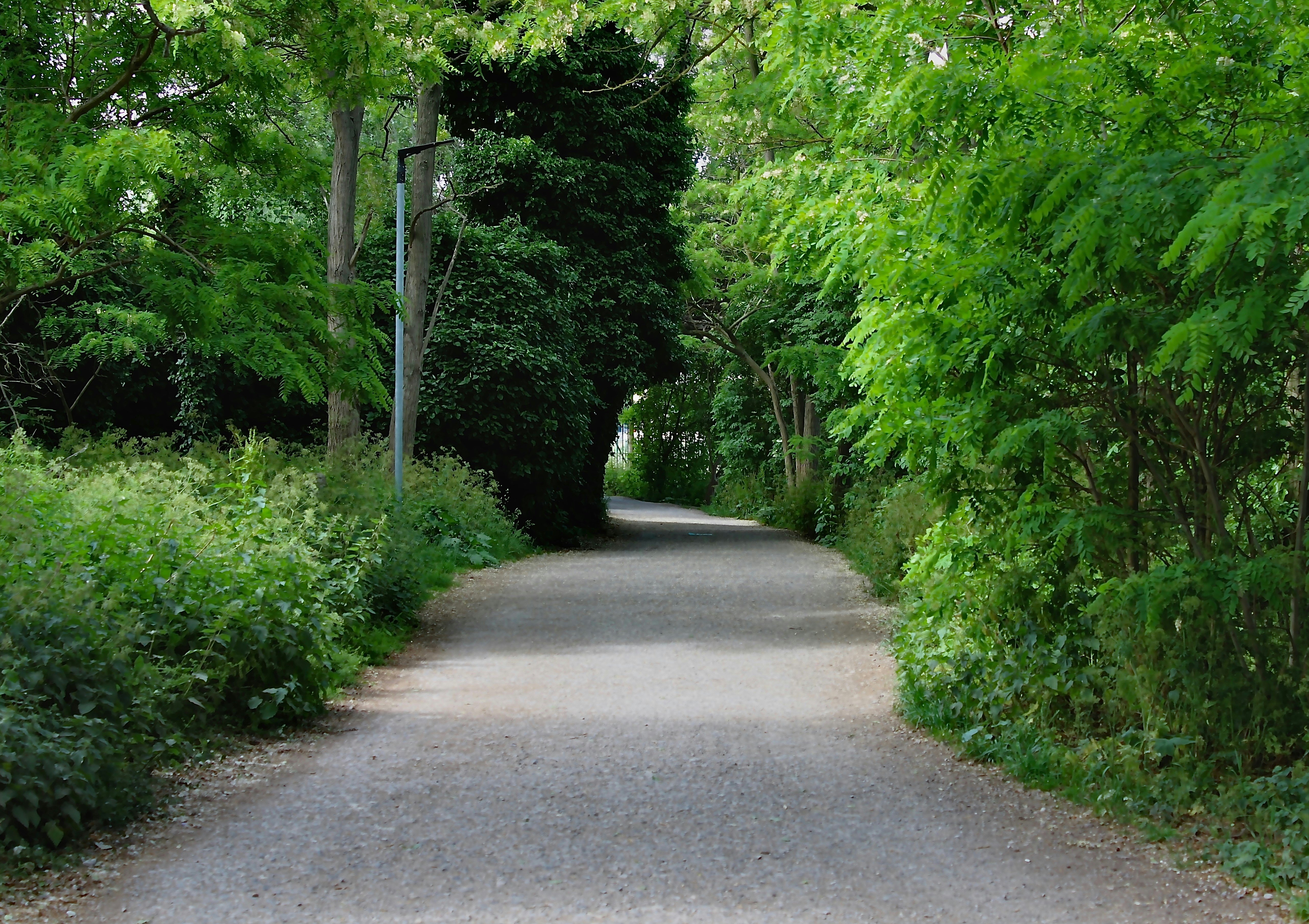 Photo by priyankachechi29