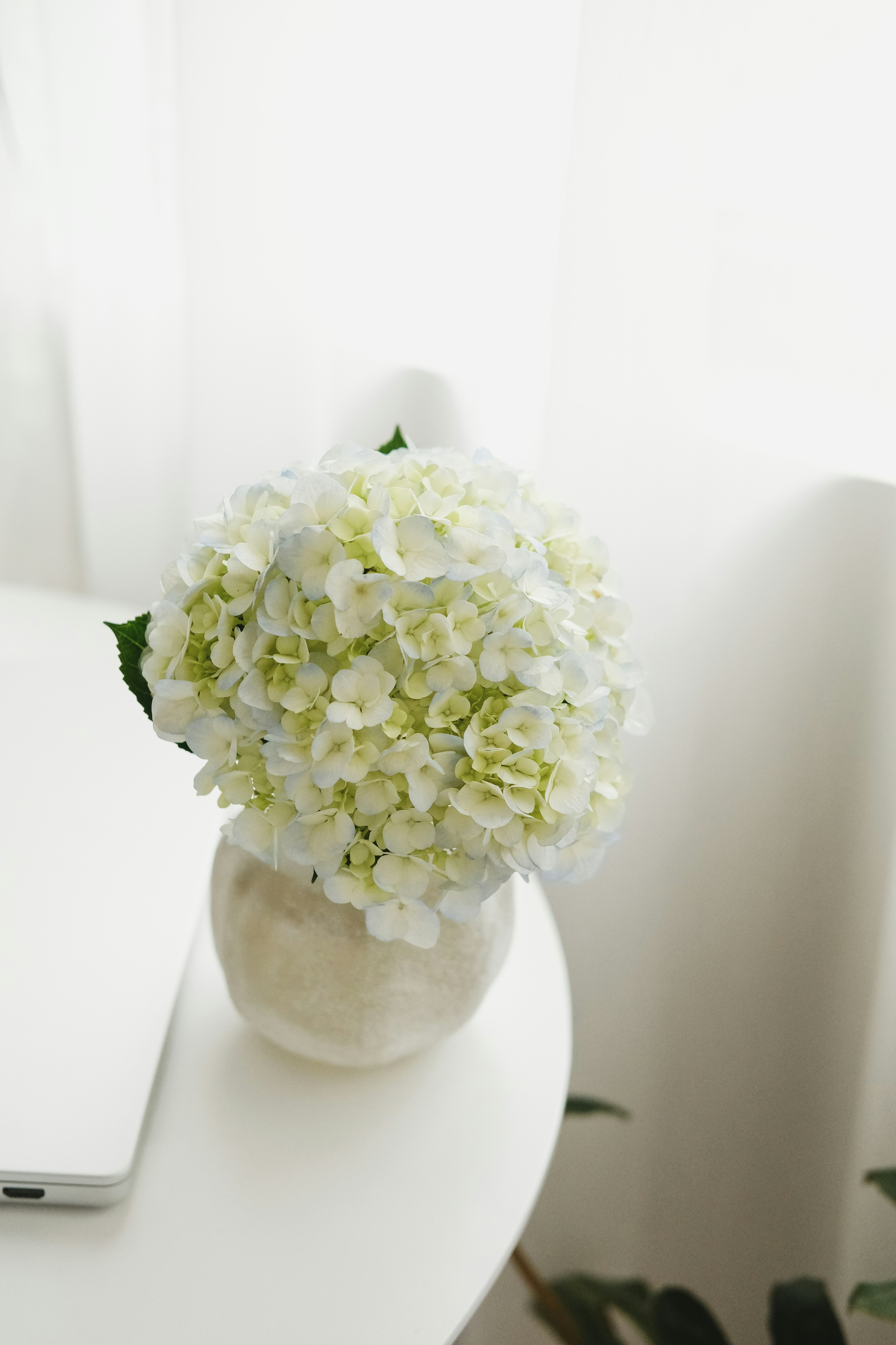 Photo by nganduong93